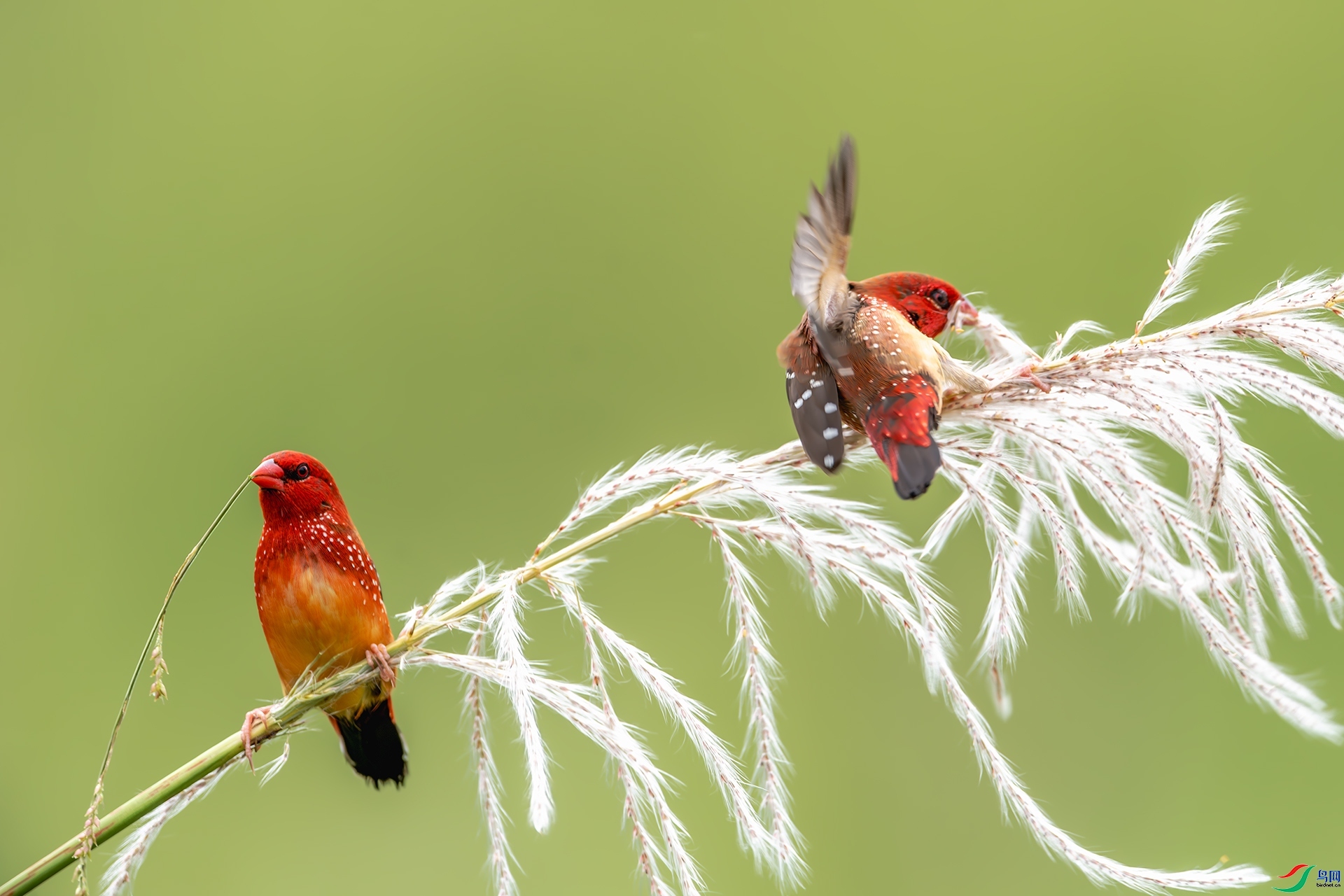 ������æ  ���� ����ǿ ����.jpg