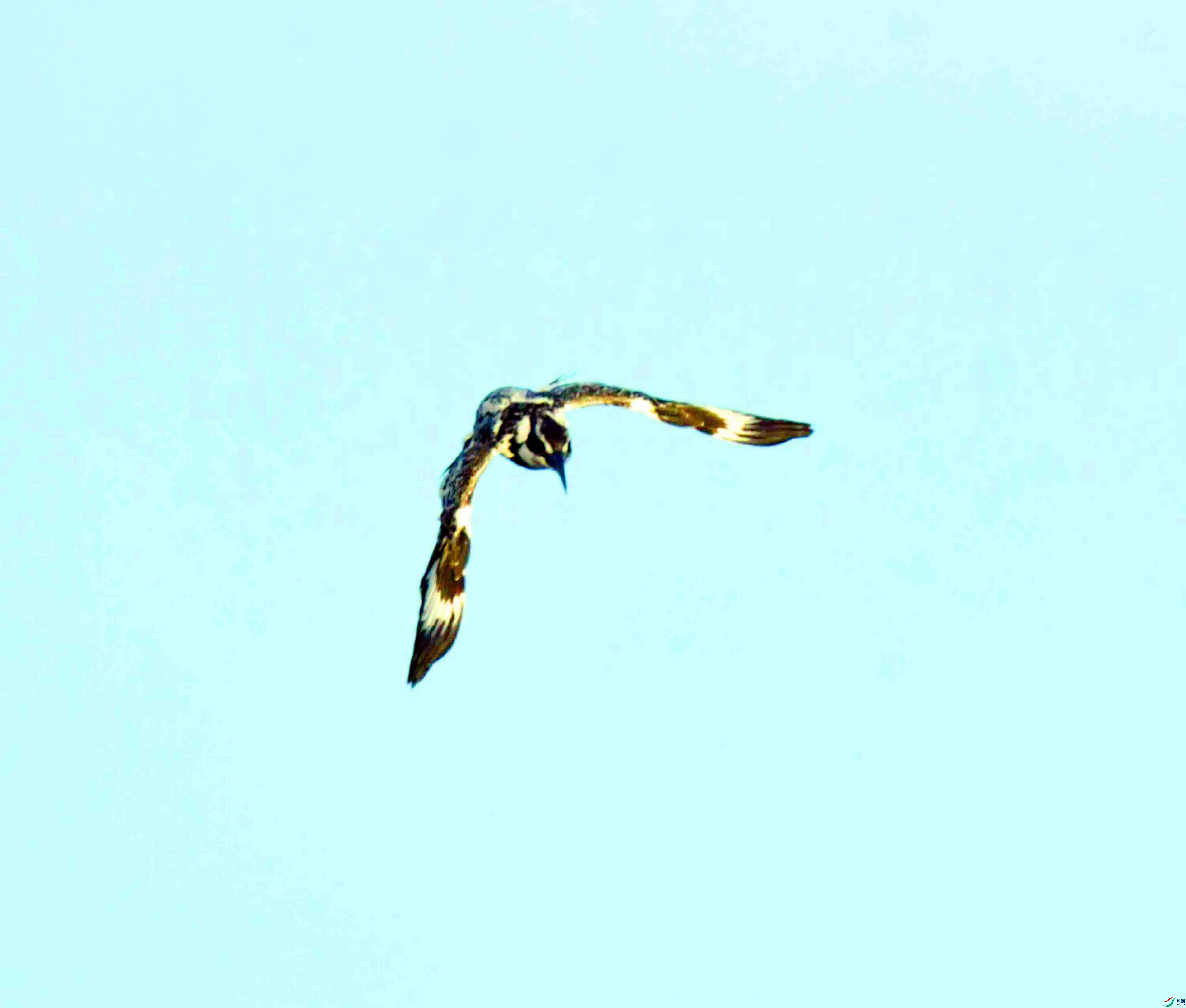 DSC_3932.JPG