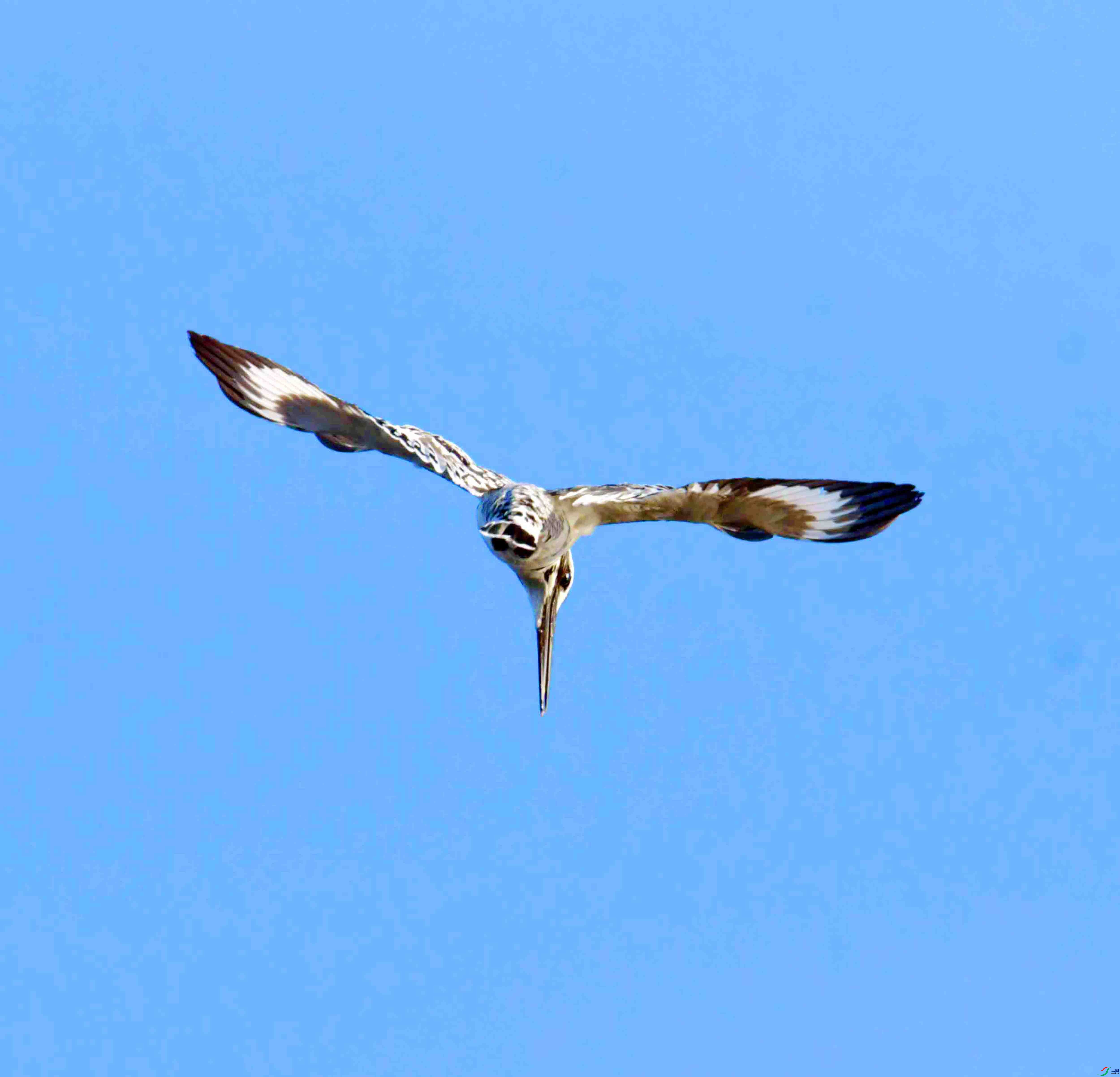 DSC_4045.JPG