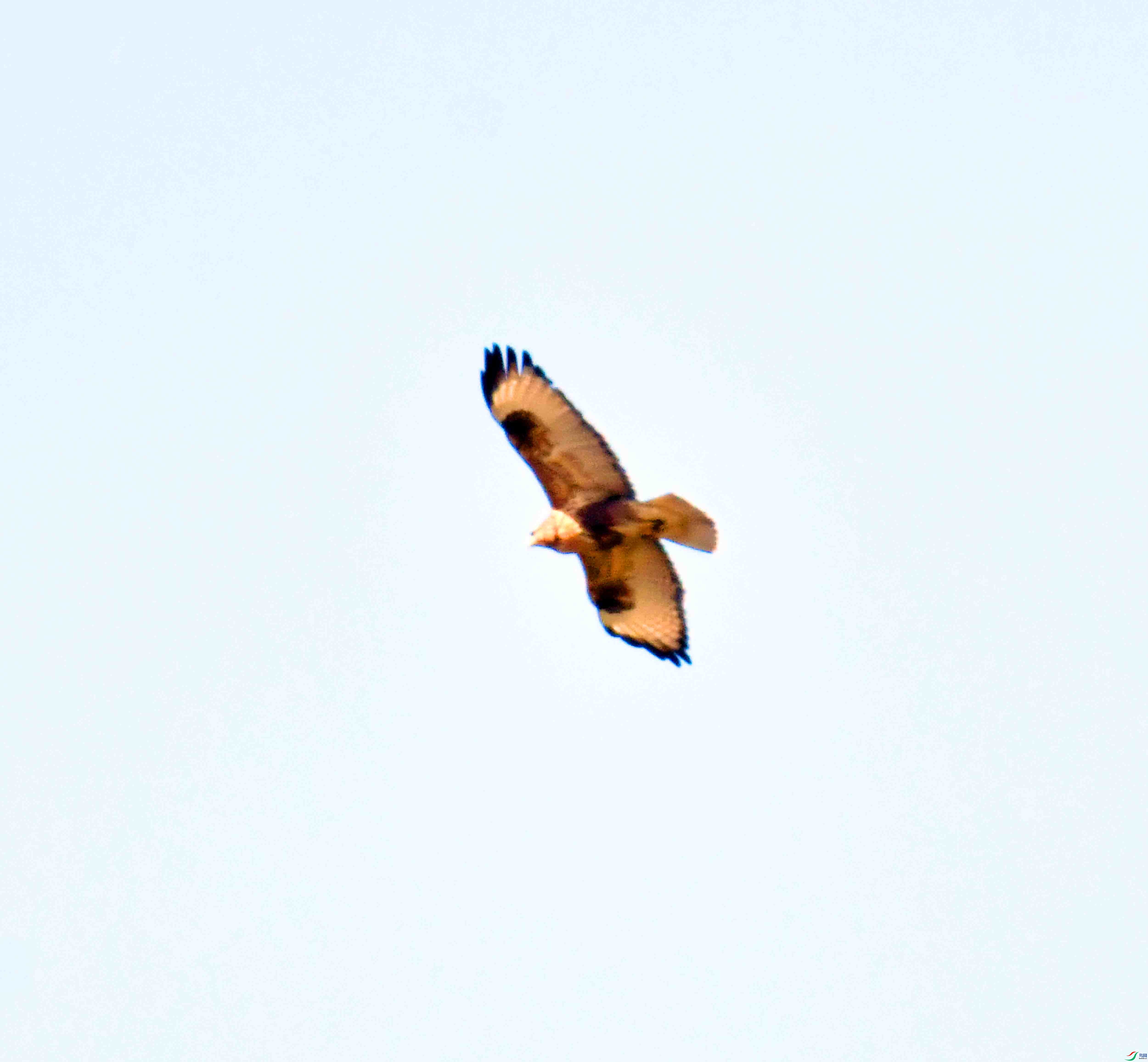 DSC_0356.JPG