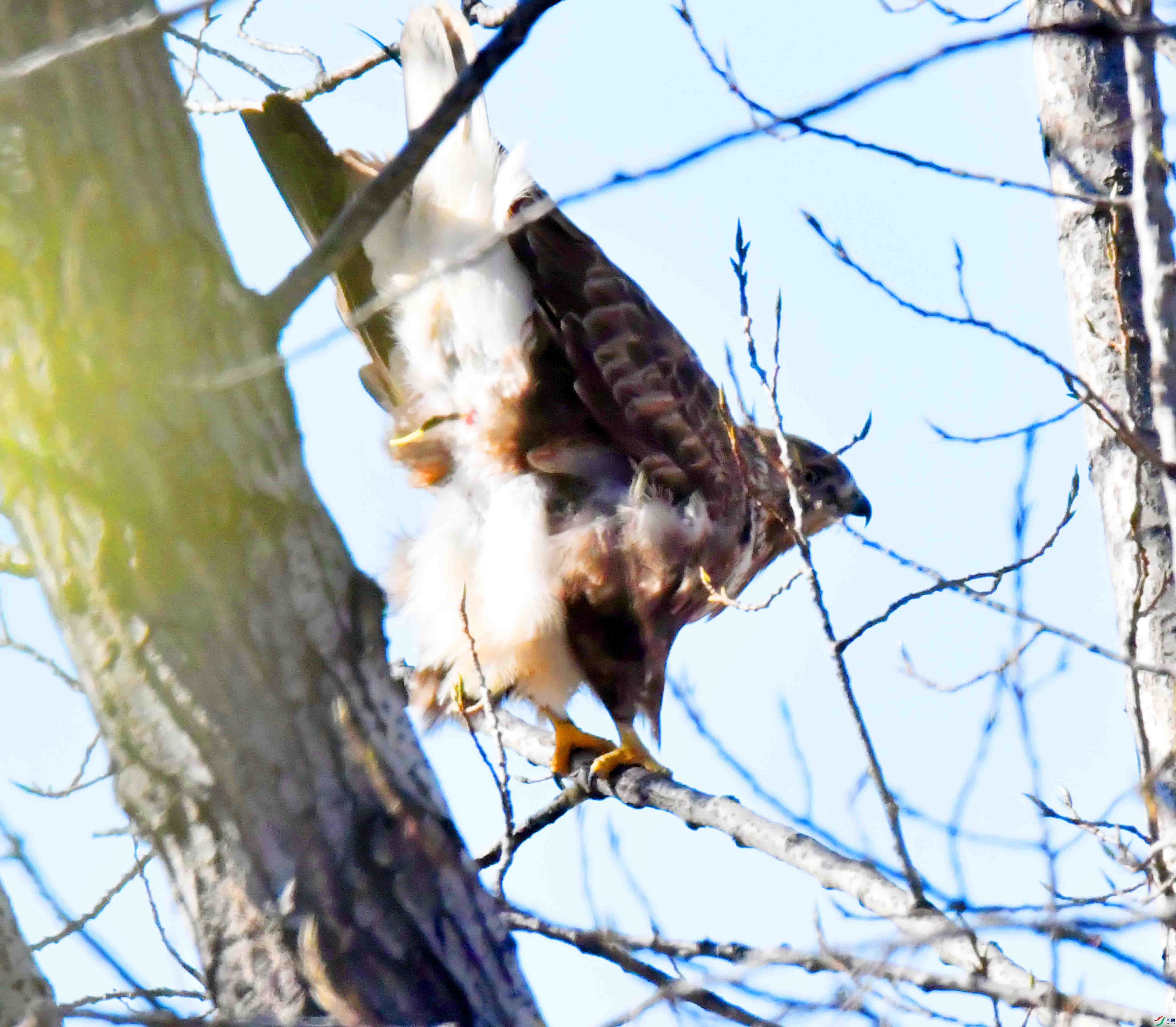 DSC_5724.JPG