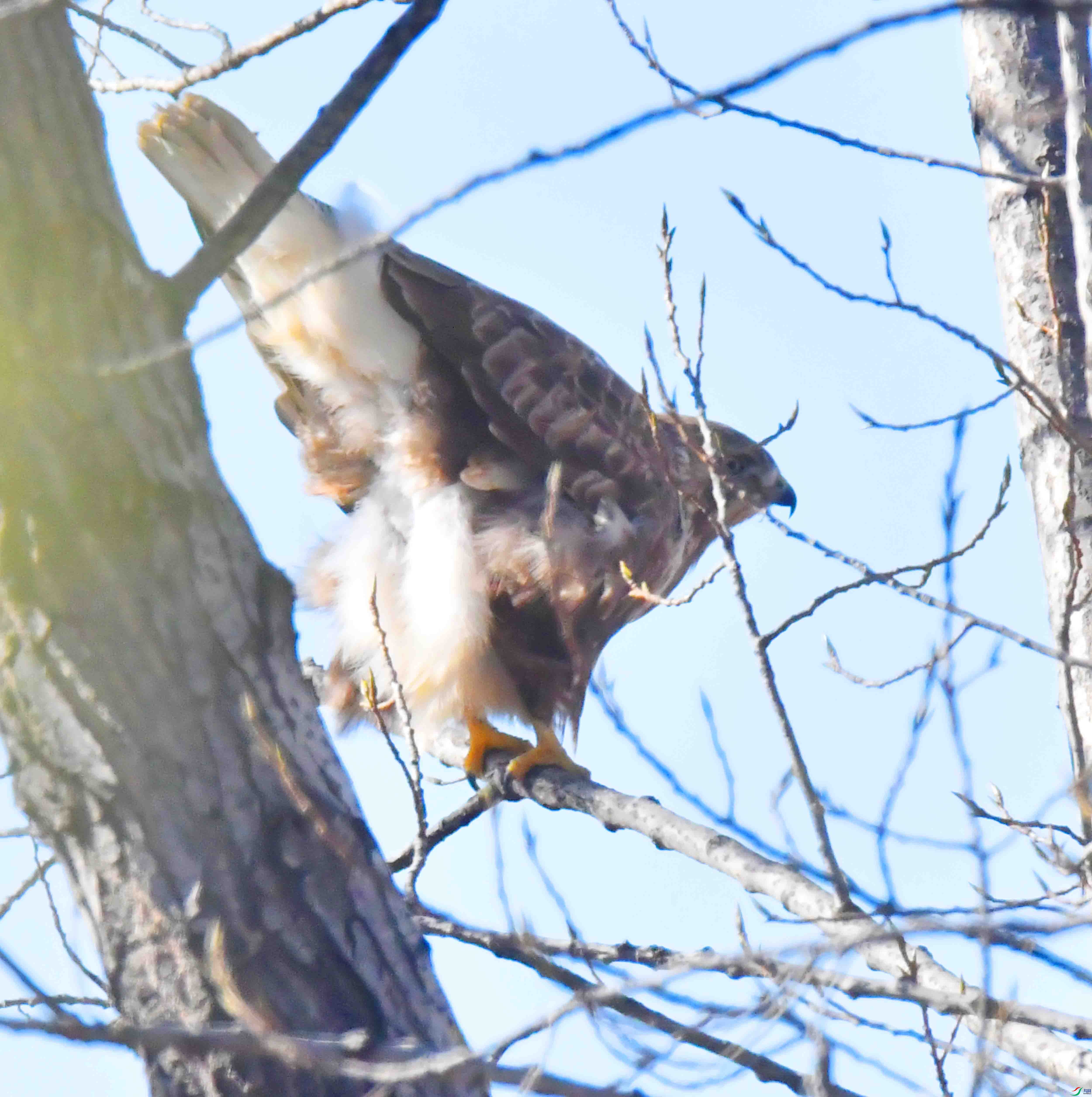 DSC_5723.JPG