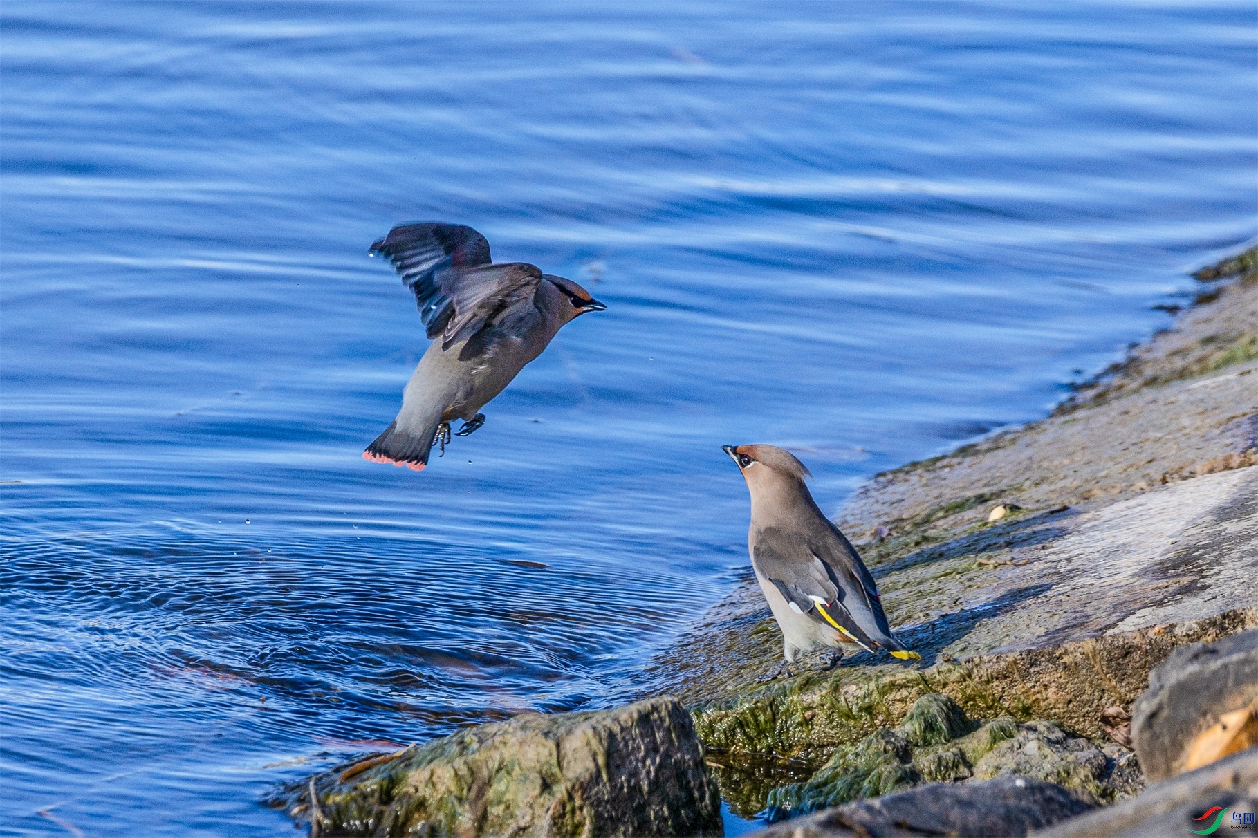 1K3A9527 ����1.jpg