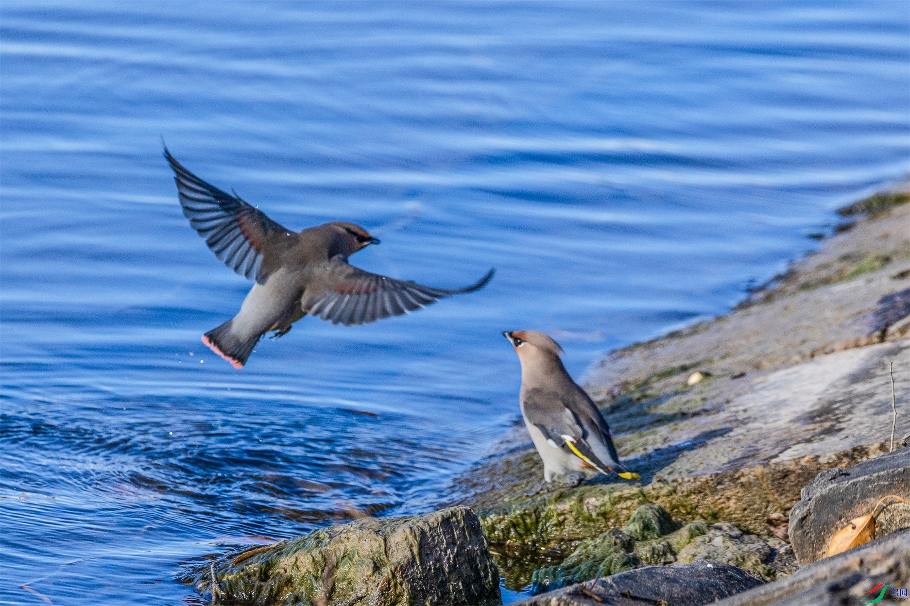 1K3A9526 ����1.jpg