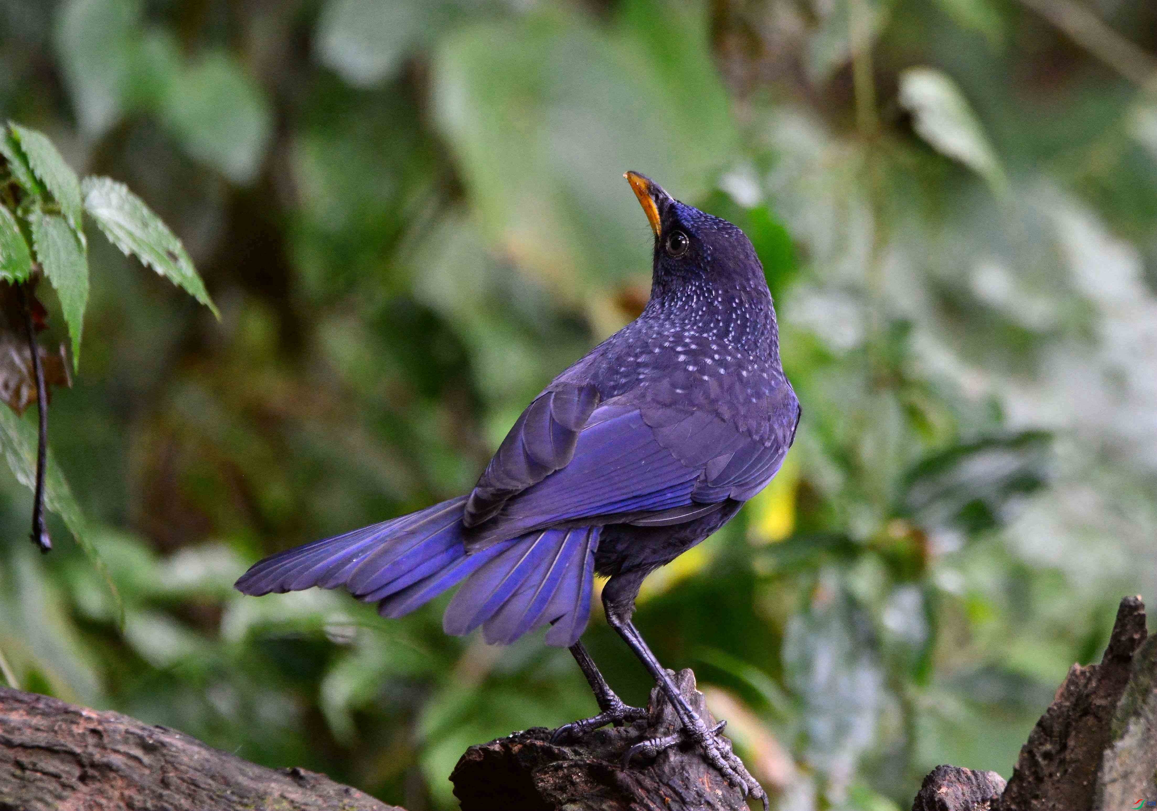 DSC_8803.JPG