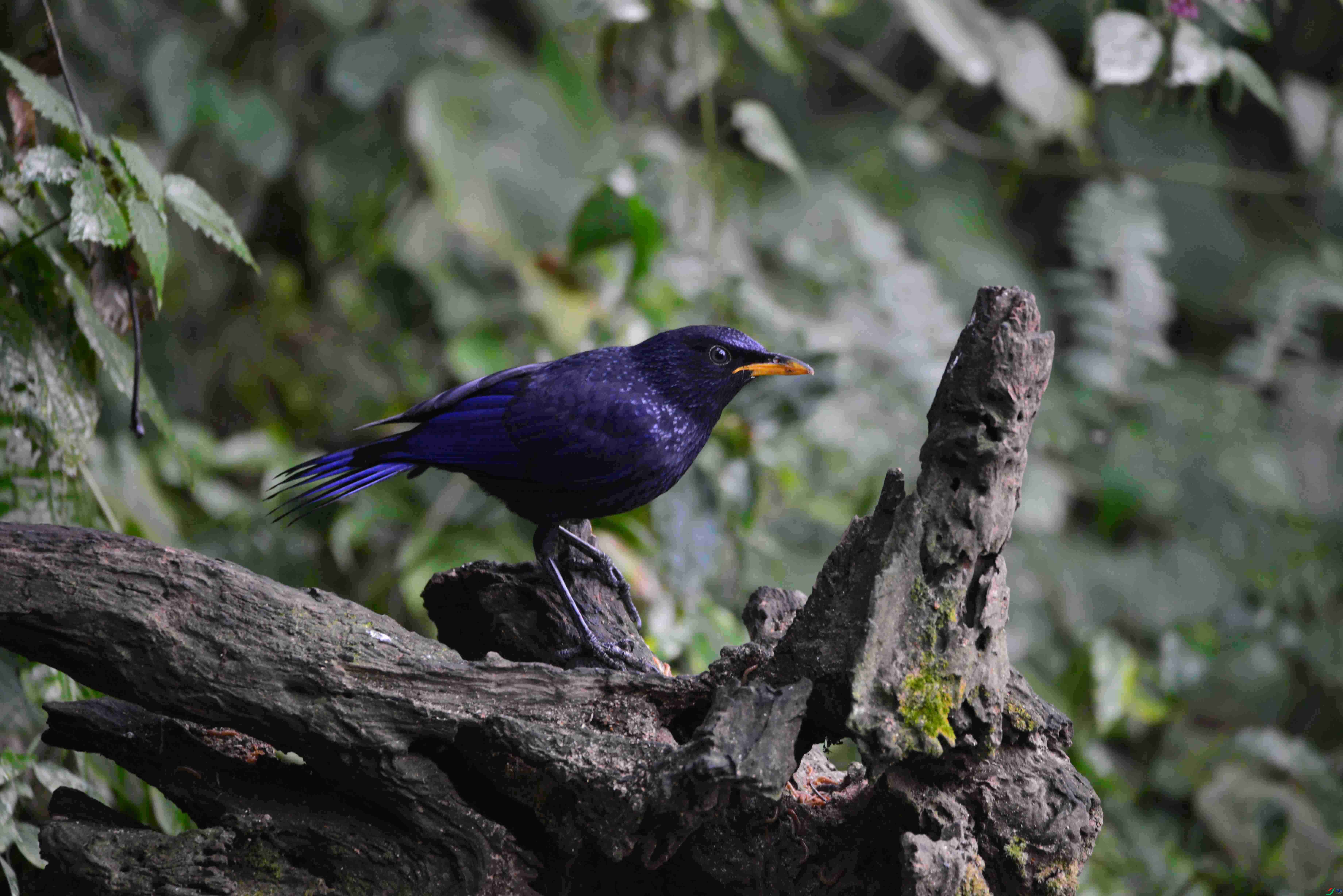 DSC_8814.JPG