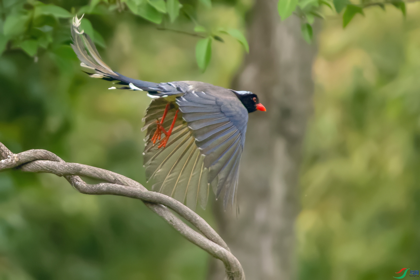 4DSC_9187_DxOa5.jpg