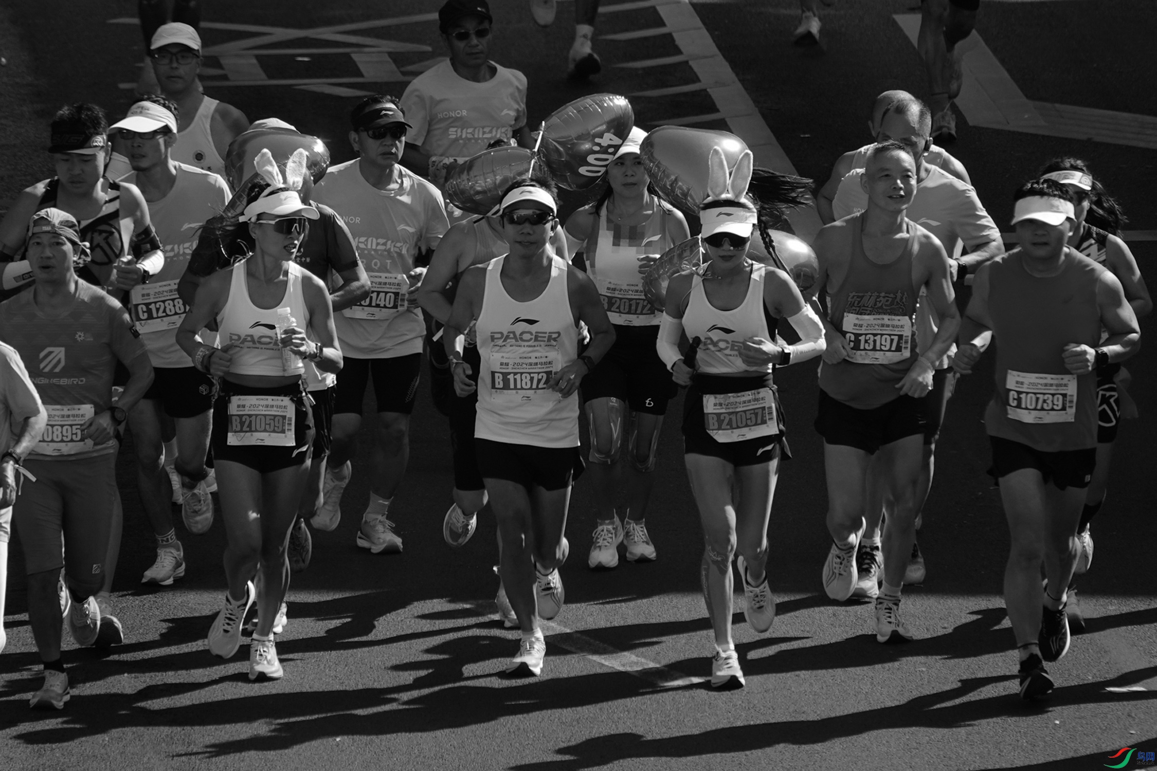 2024����������ʰӰ (11).jpg