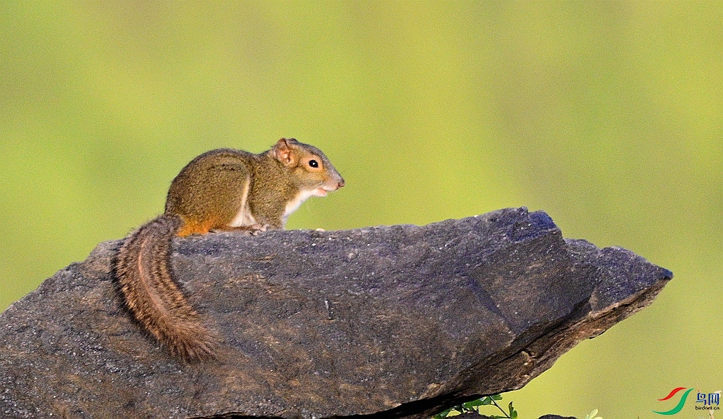 DSC_1328_����.jpg