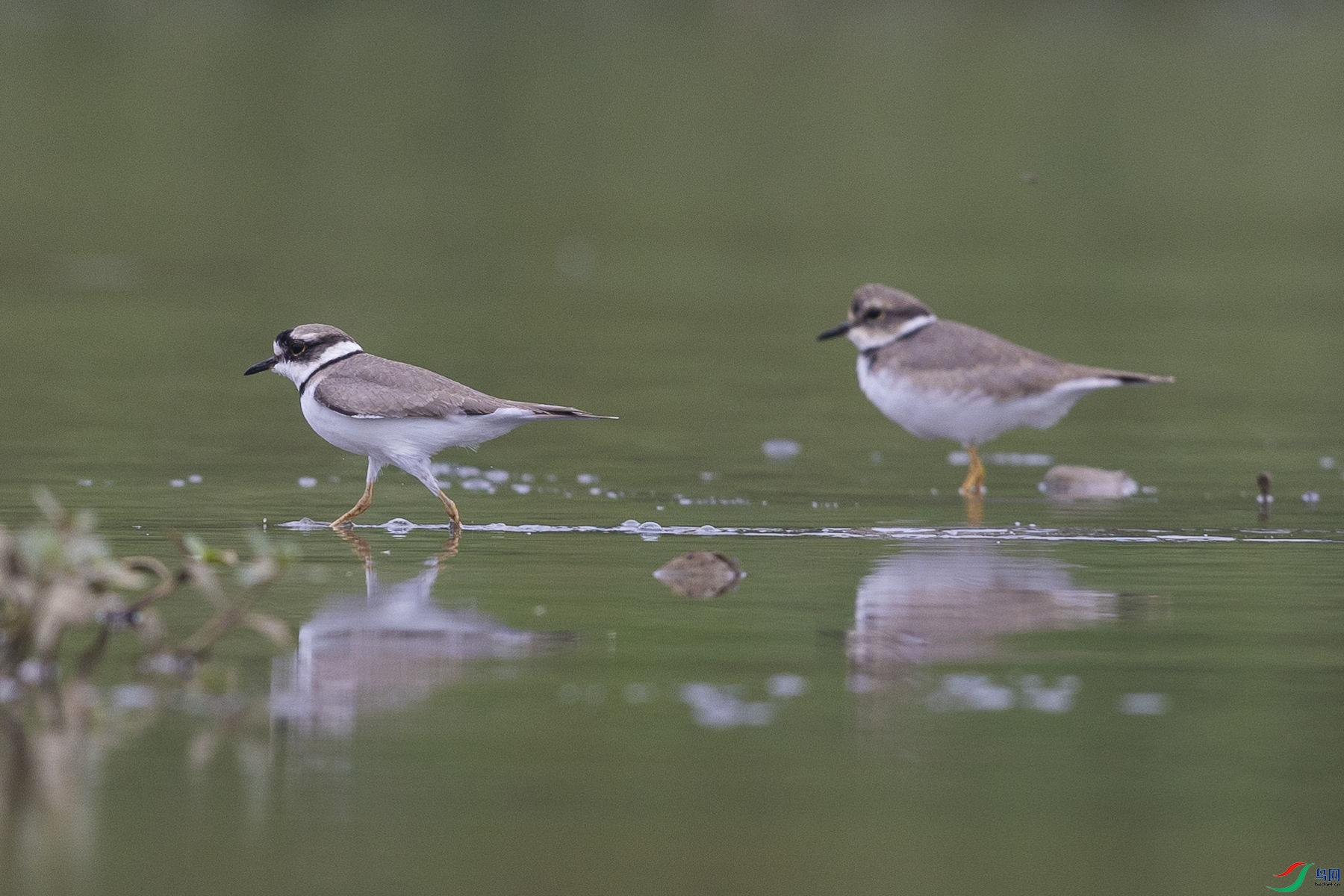 �����a��