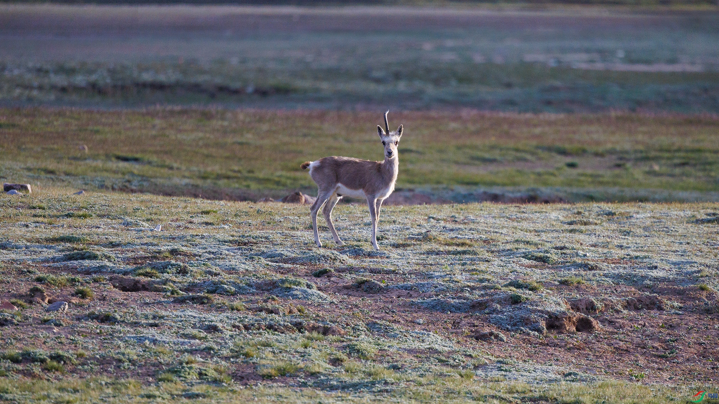 7X5A7565 ����������.jpg