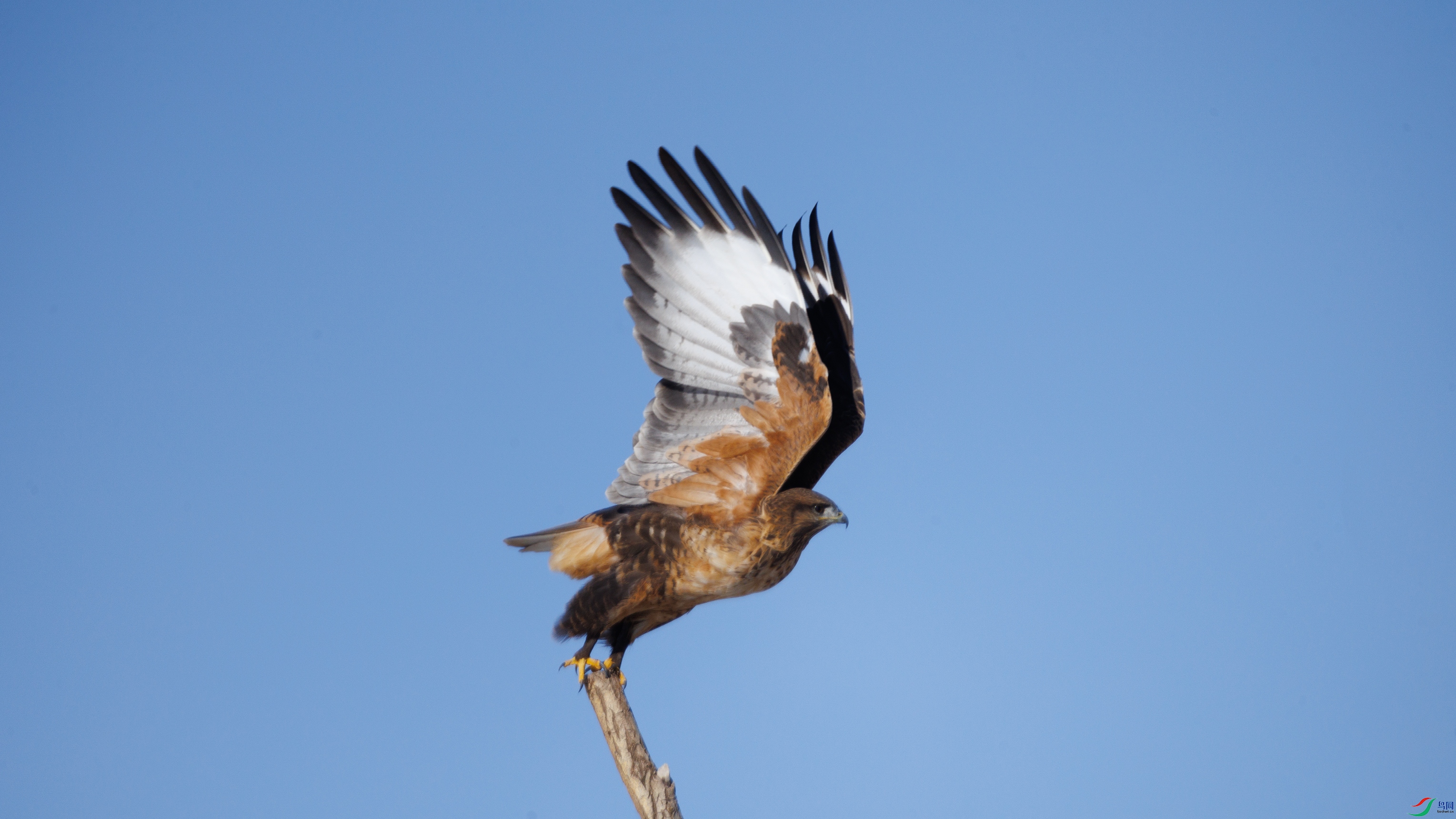 7X5A1773 ��44444.jpg