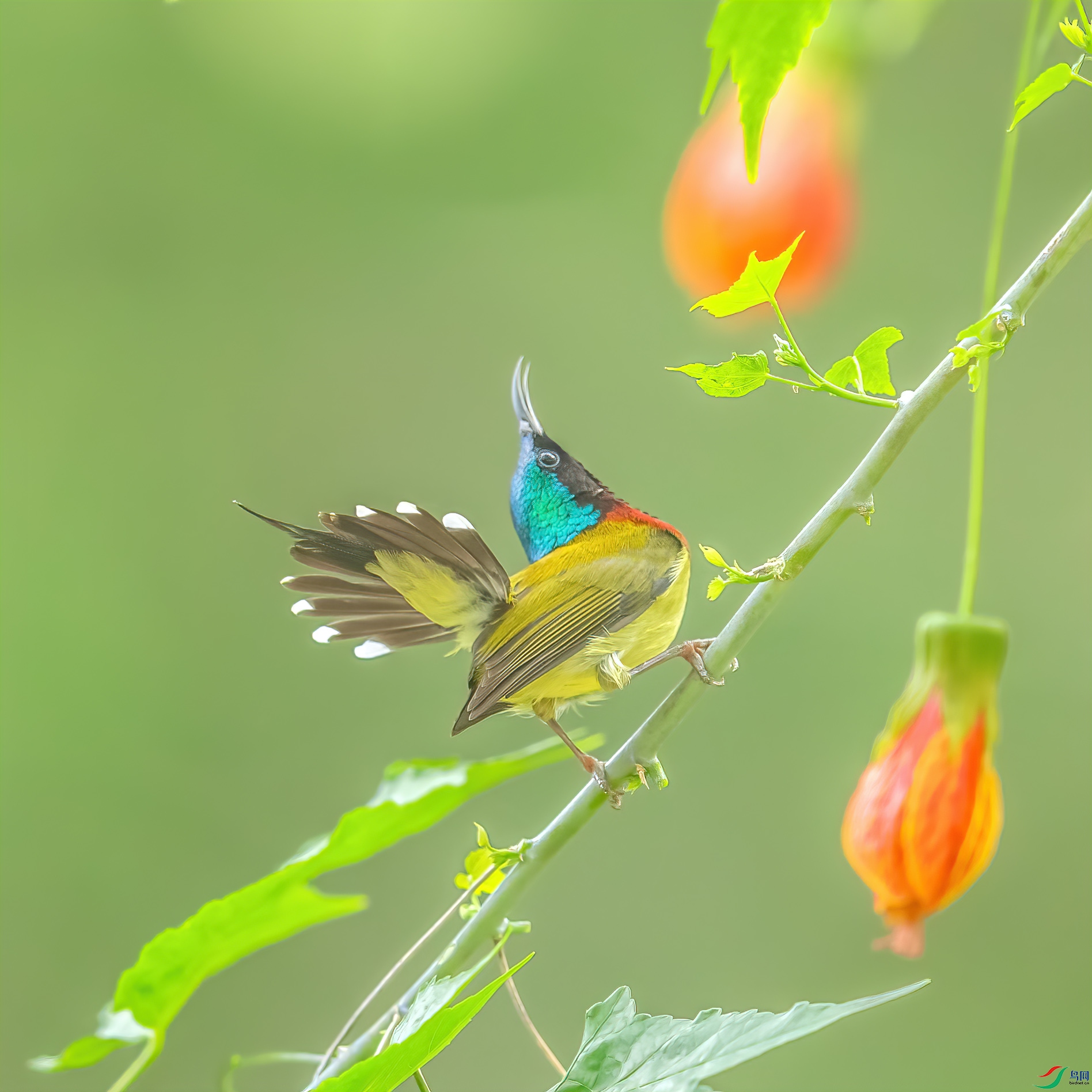 C09R7254 ����.jpg