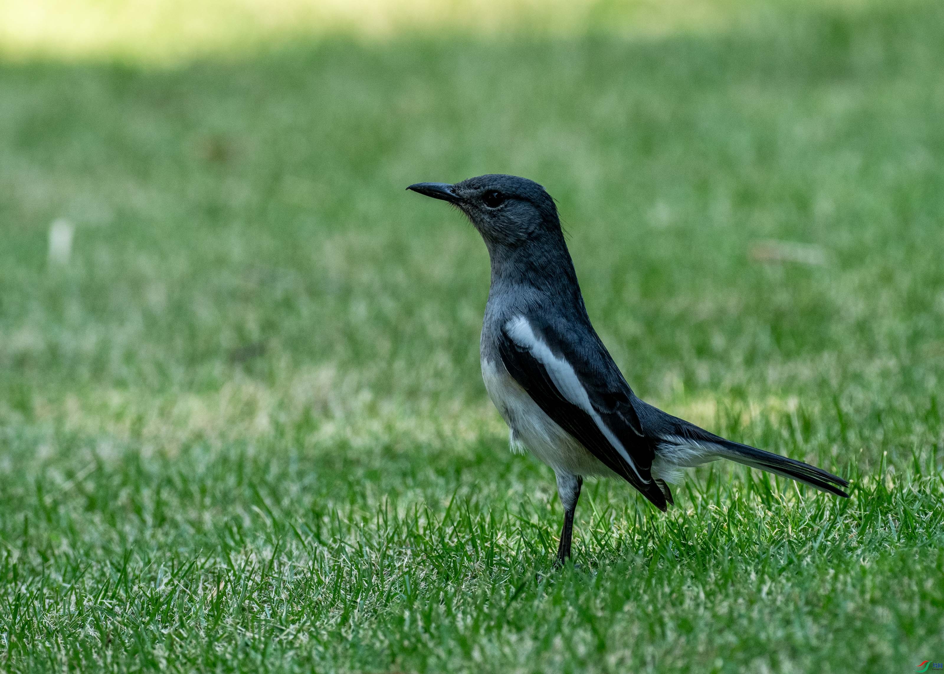 HCG08767-4.jpg