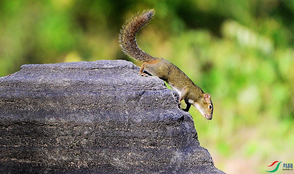 DSC_0106.JPG