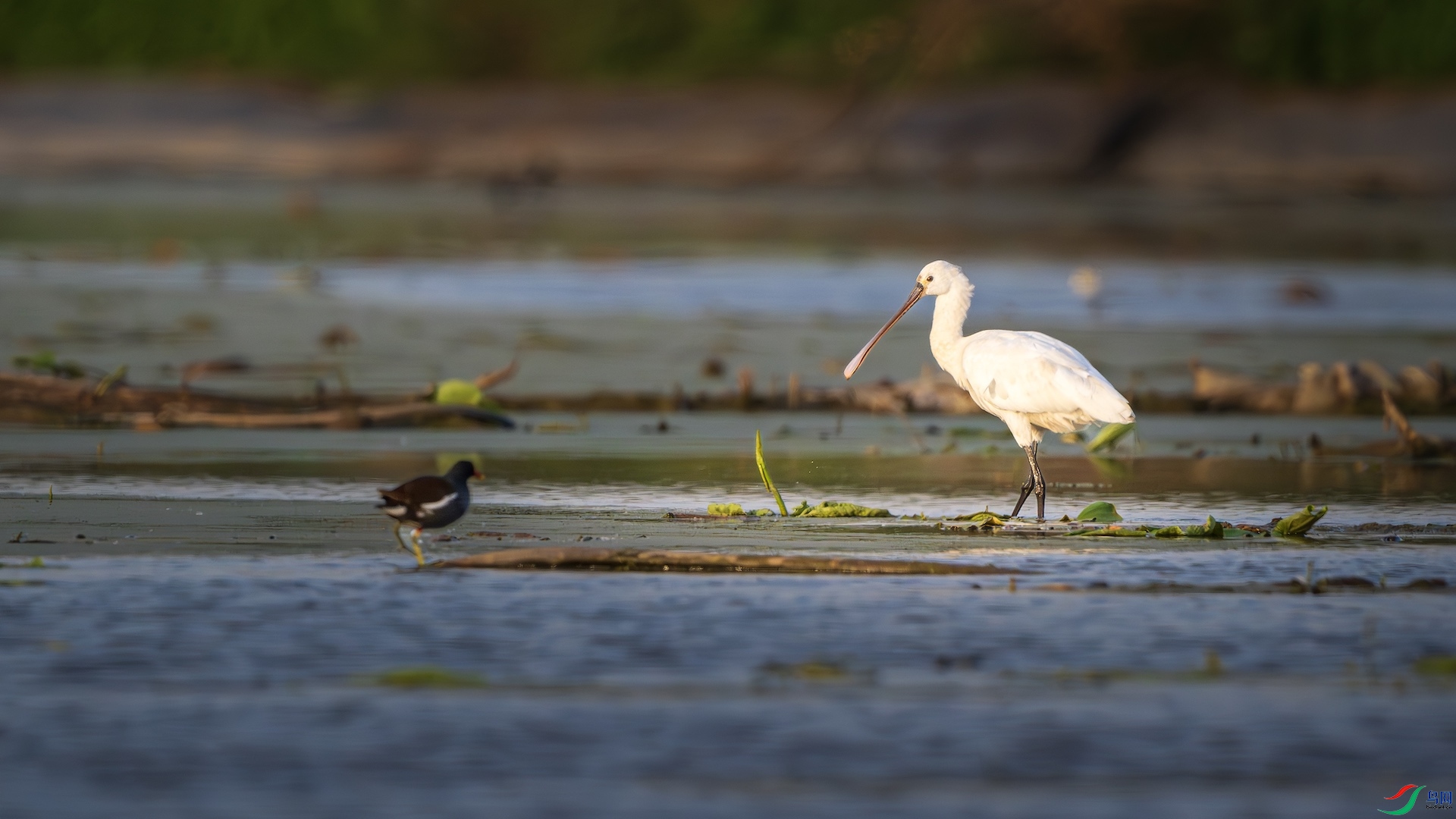 1_XXL0169-����ǿ-NR-1 ����.jpeg