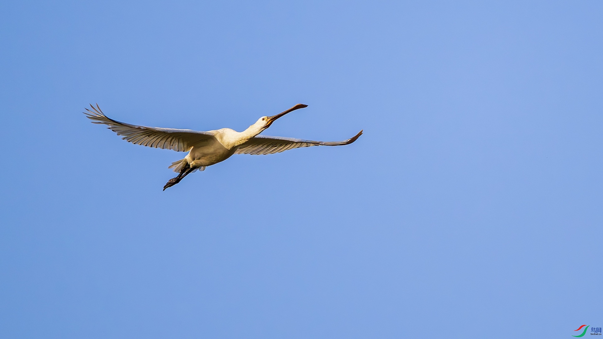 1_XXL0392-����ǿ-NR ����.jpeg