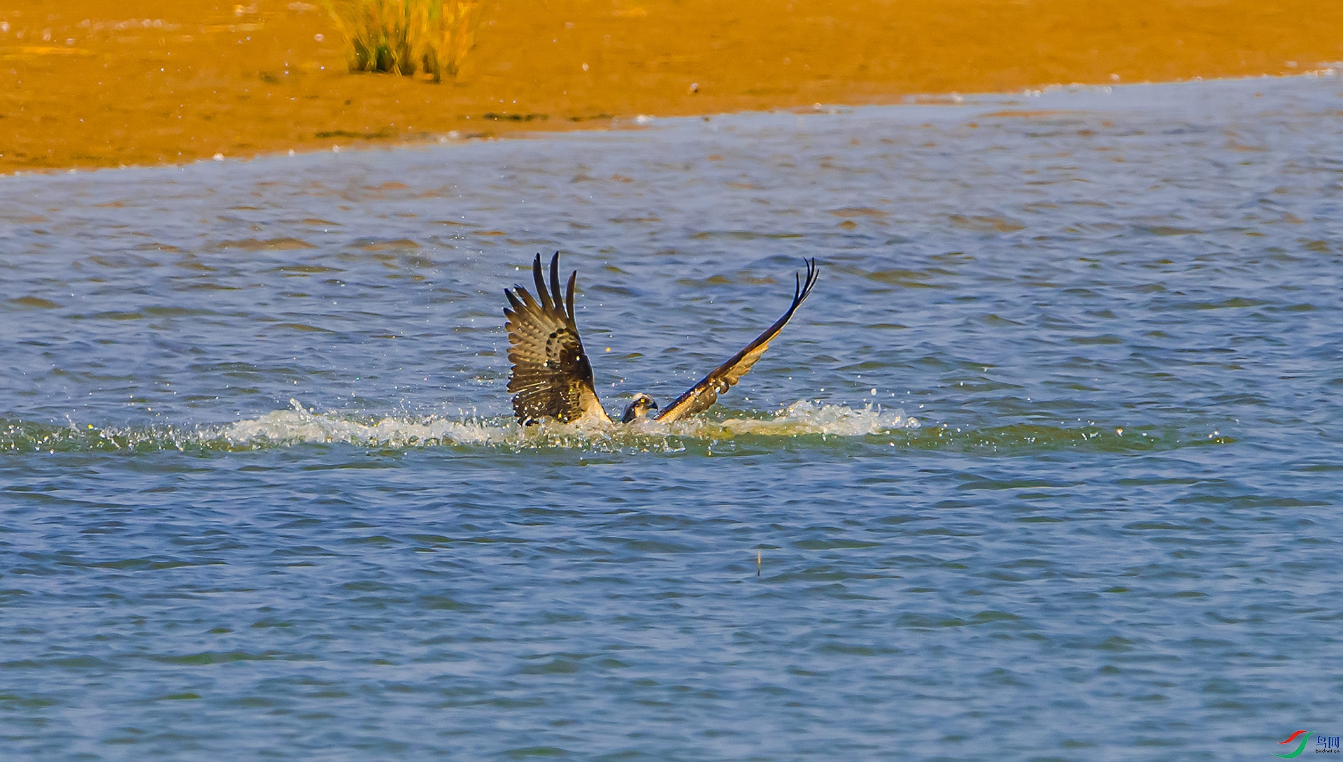 DSC_0260.jpg