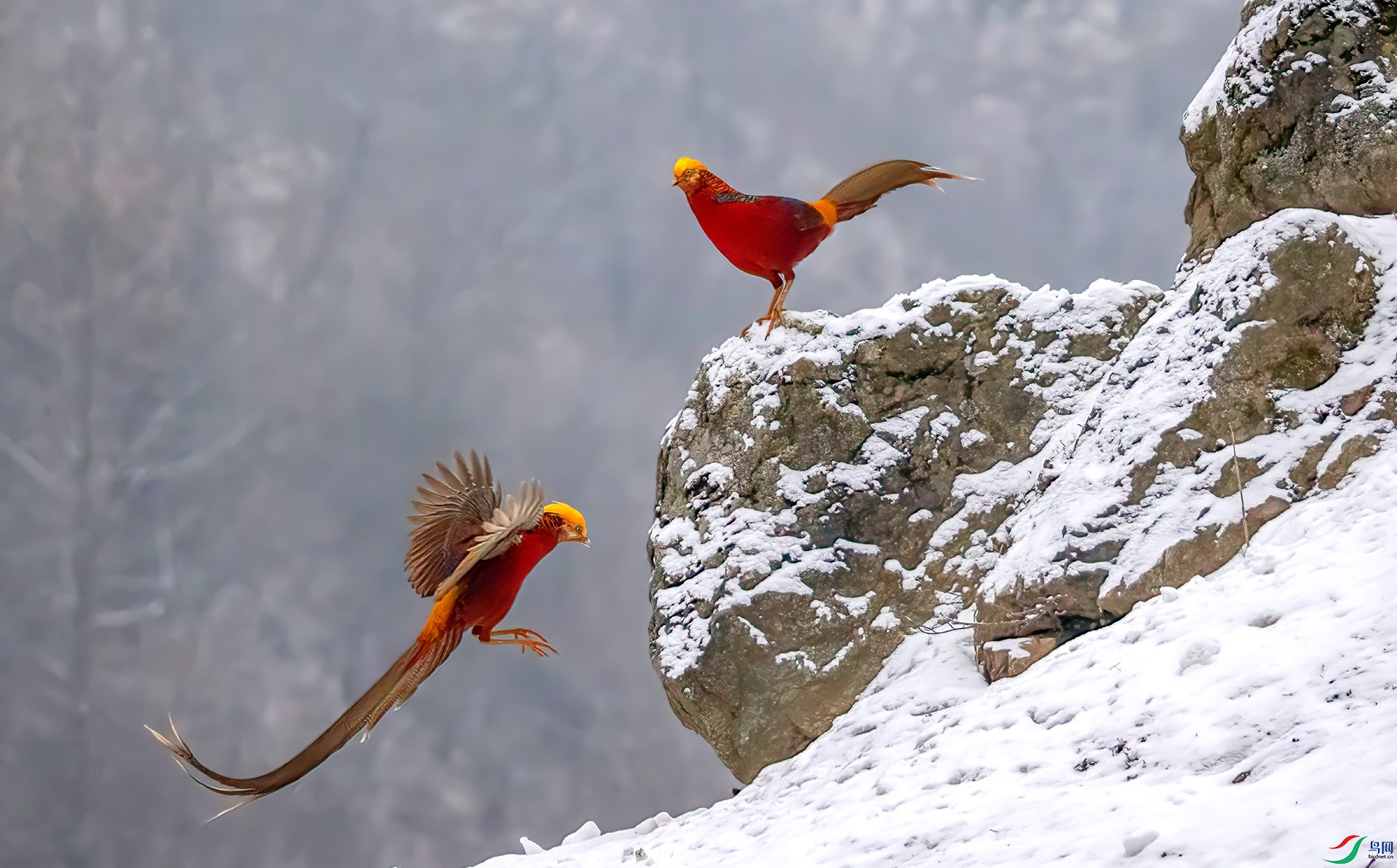 407A5944 ����-Sh----1 .jpg