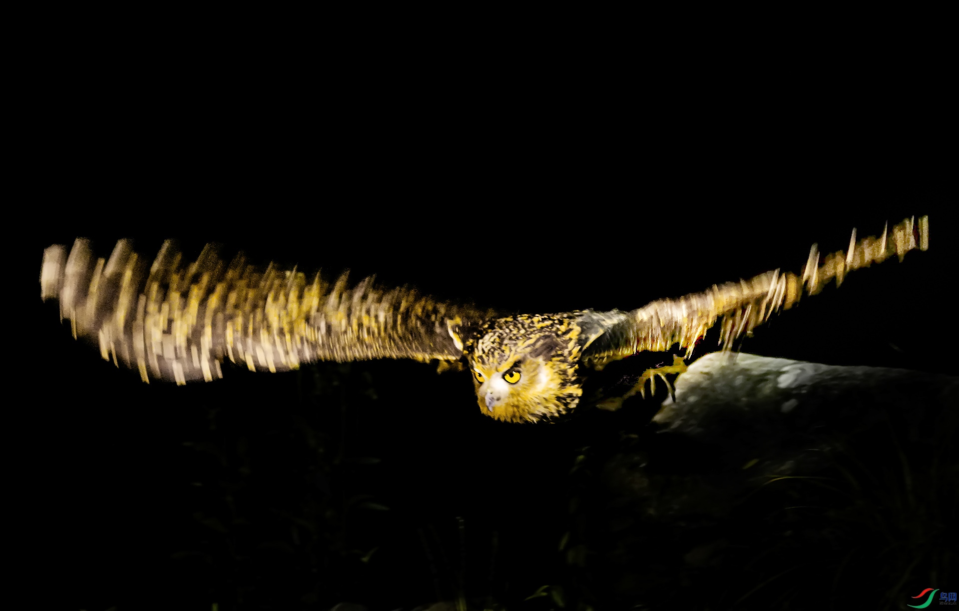 ���^����Ӱ