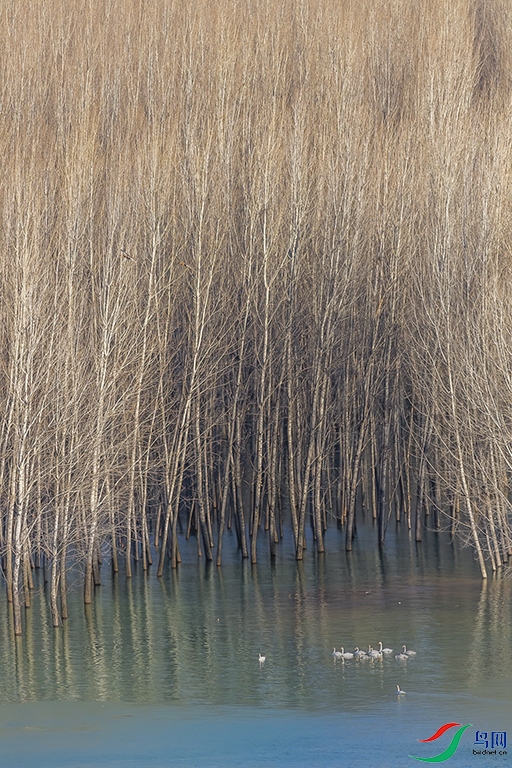 G81A8054 ����.jpg