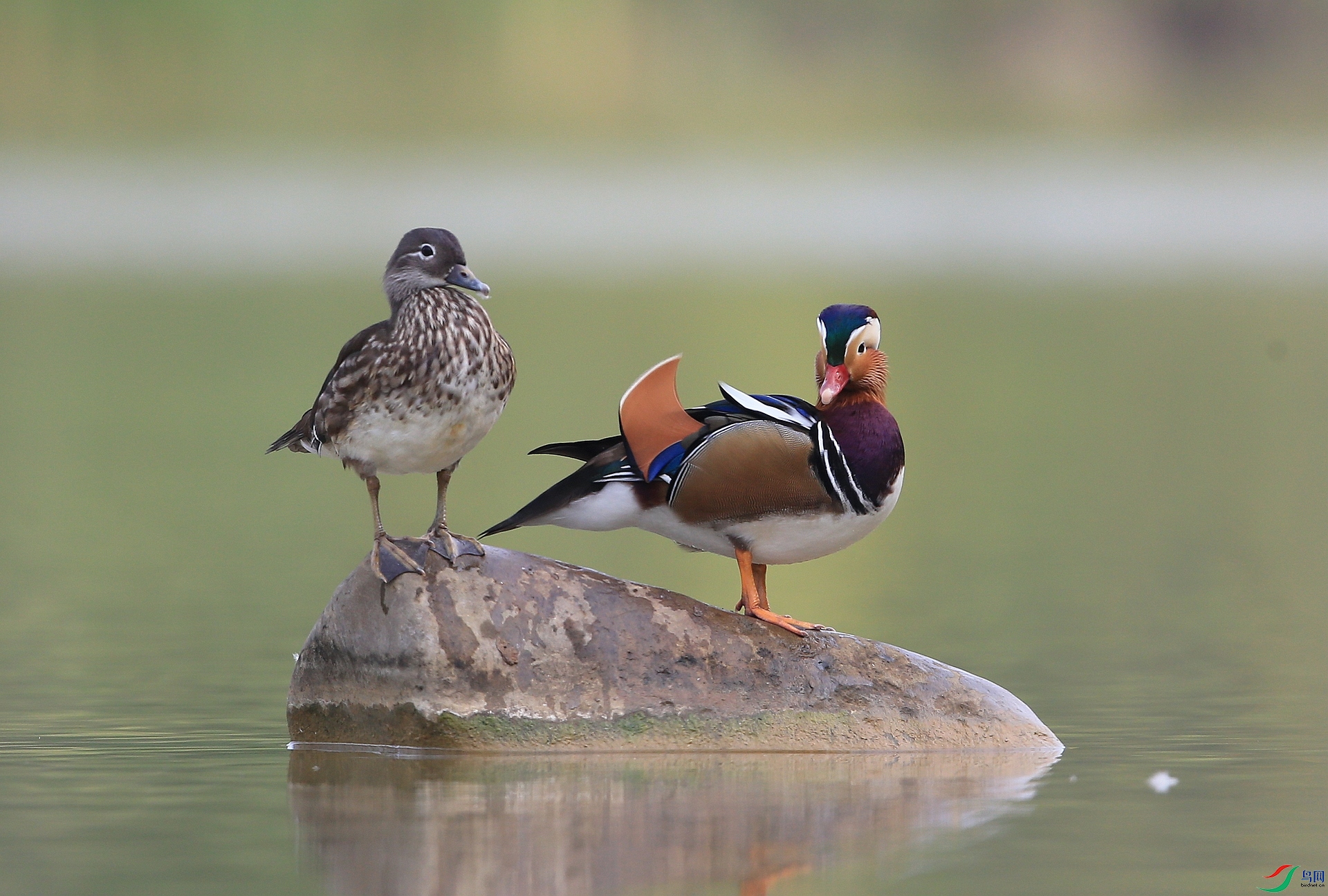 ����IMGL7794���� ԧ��1-3.JPG