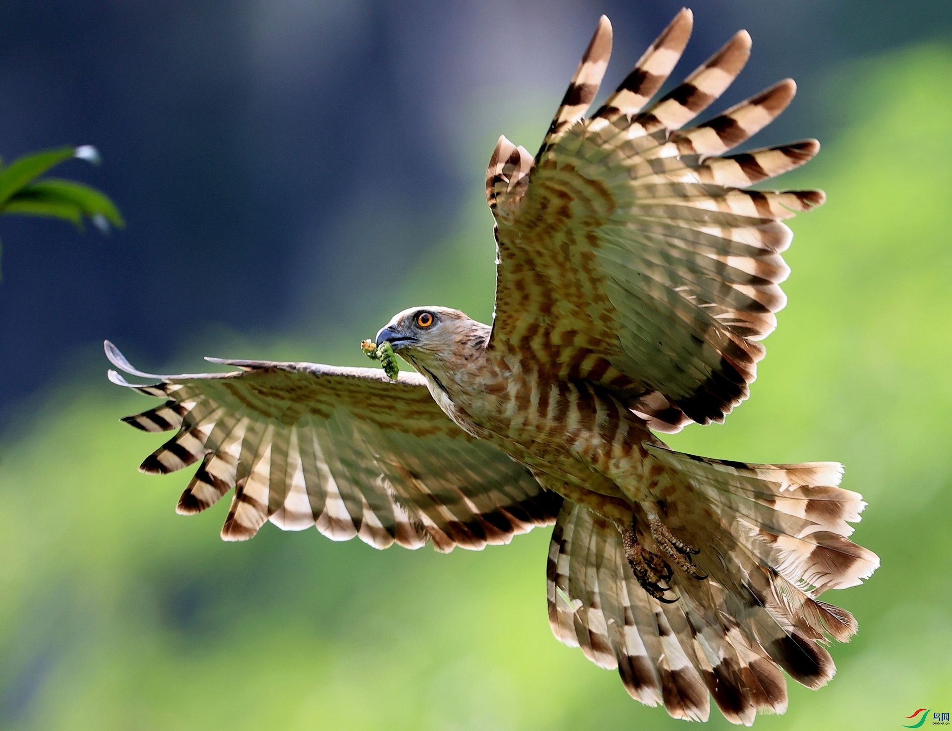 ����AK1I6341�� ����������.JPG