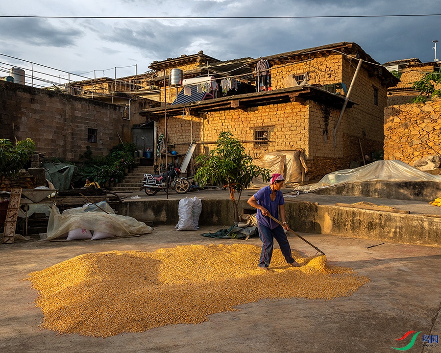 3V6A9781 ����.jpg