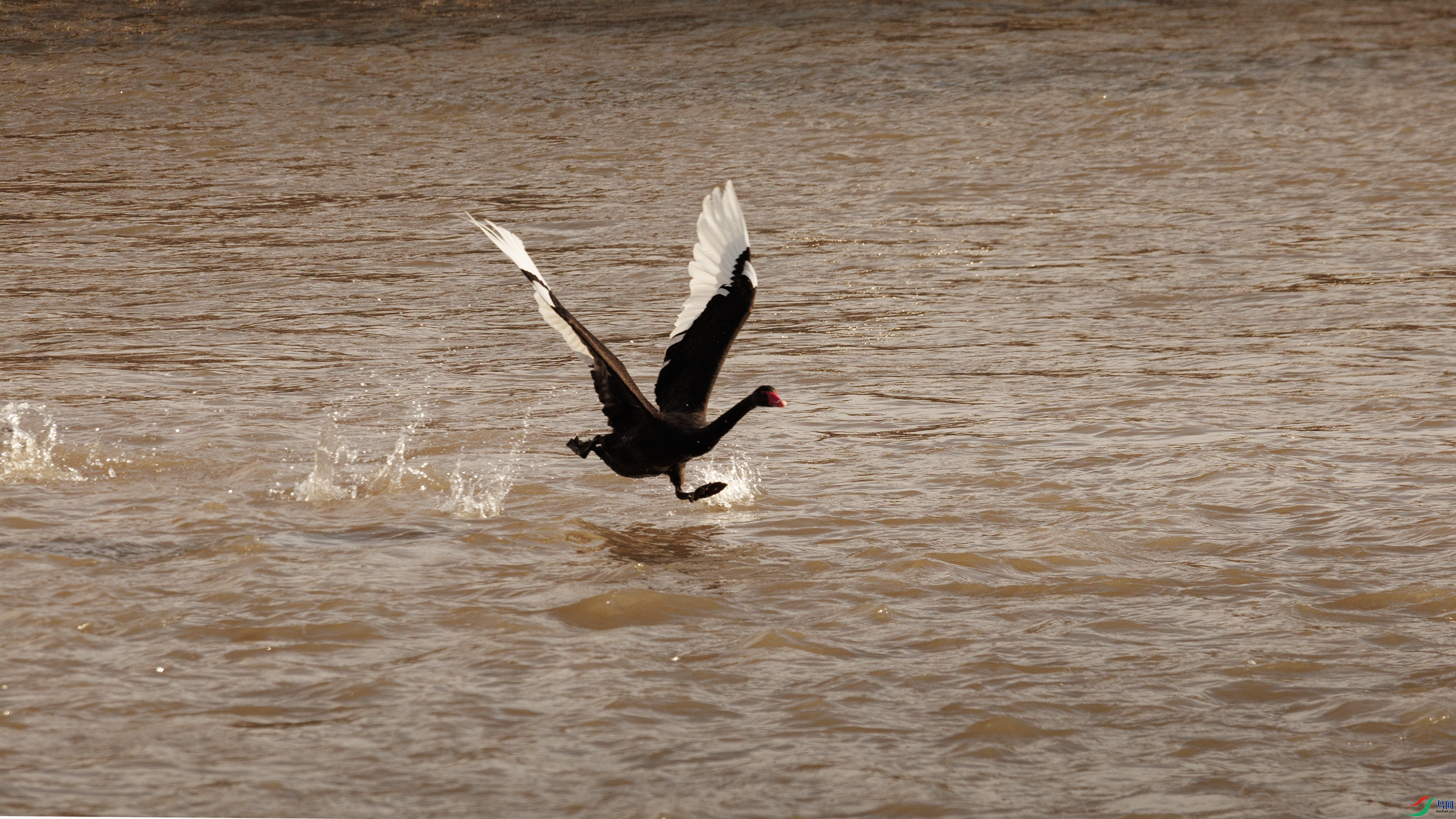 7X5A1096 ����4444.jpg