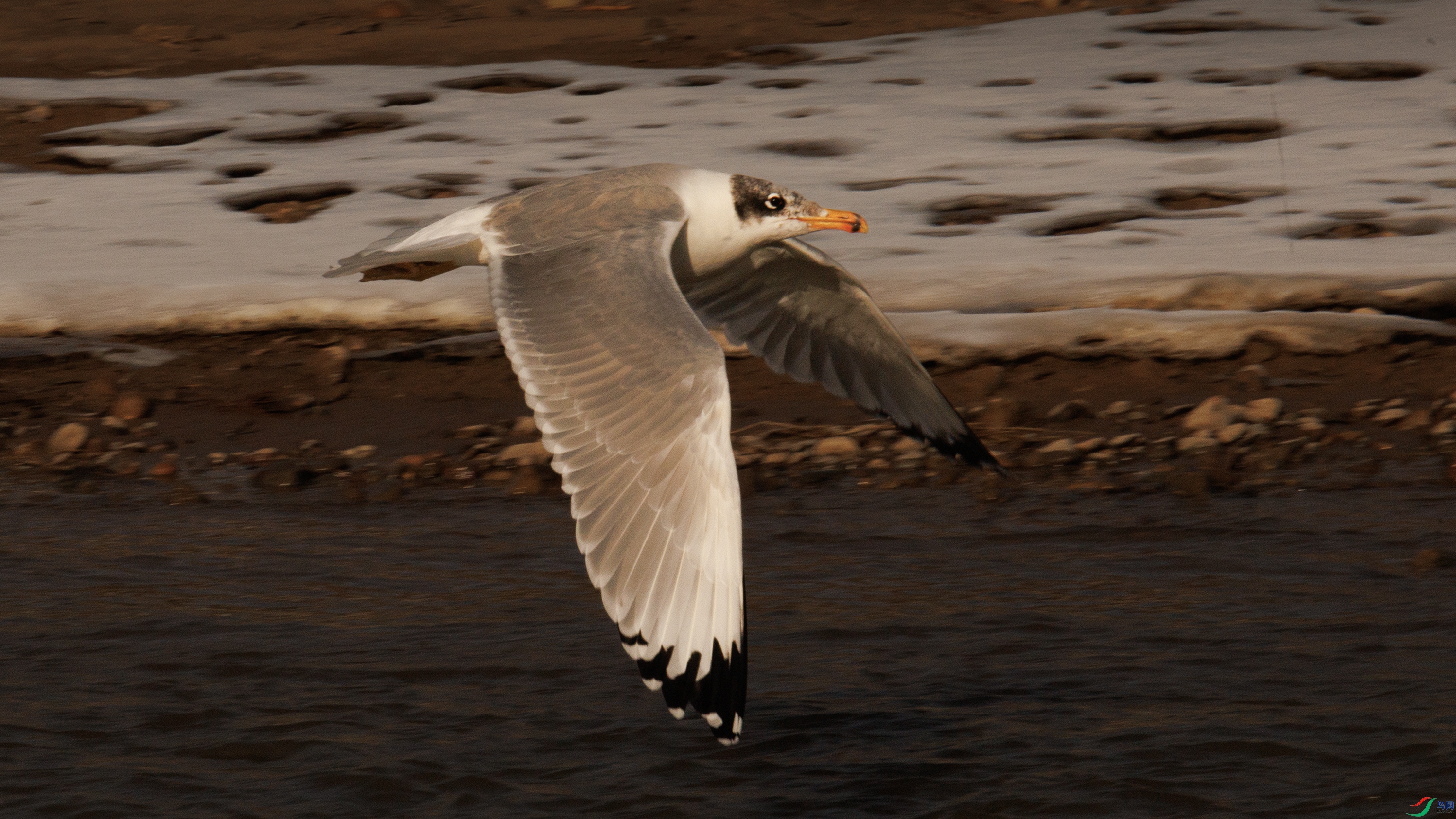 7X5A0350 ����444.jpg