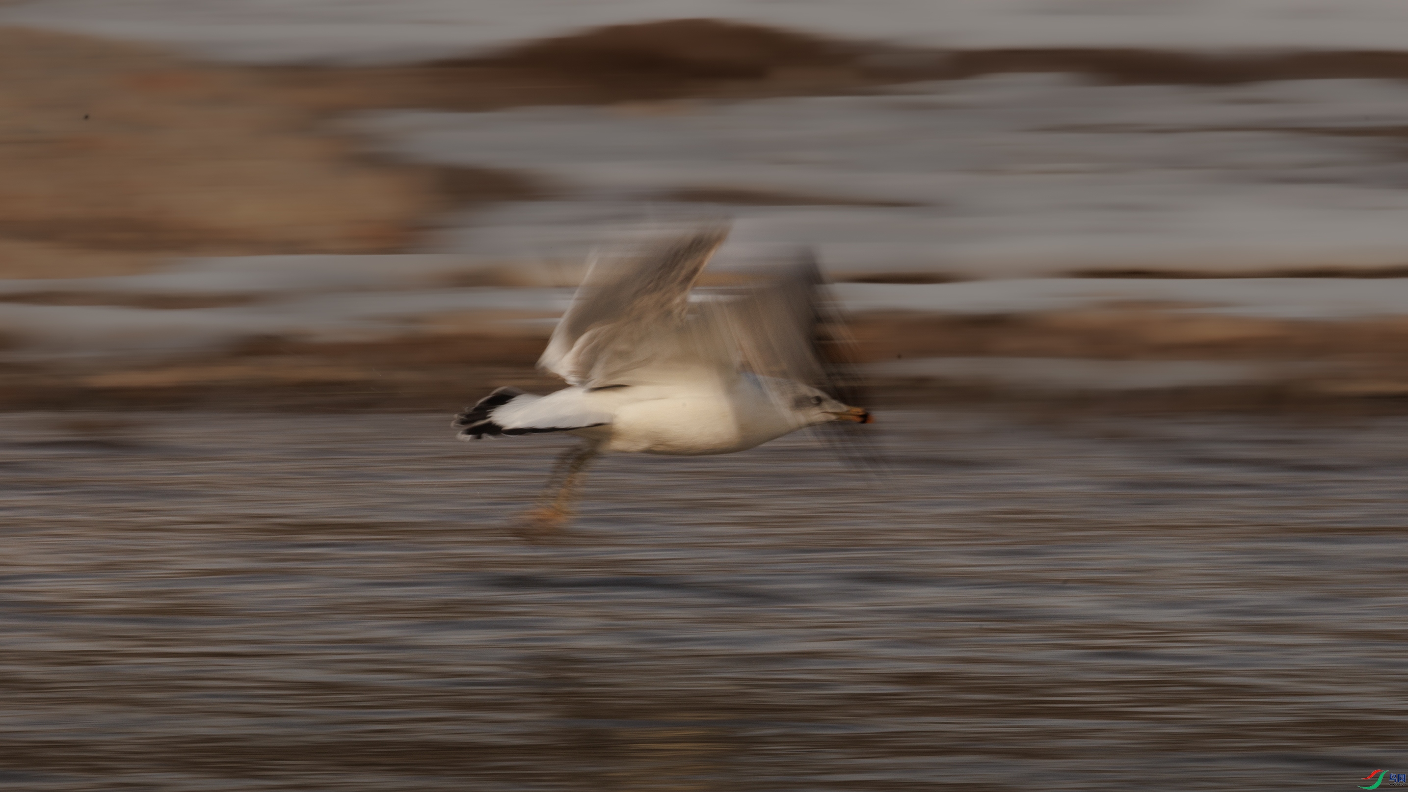 7X5A0592 ����4444.jpg