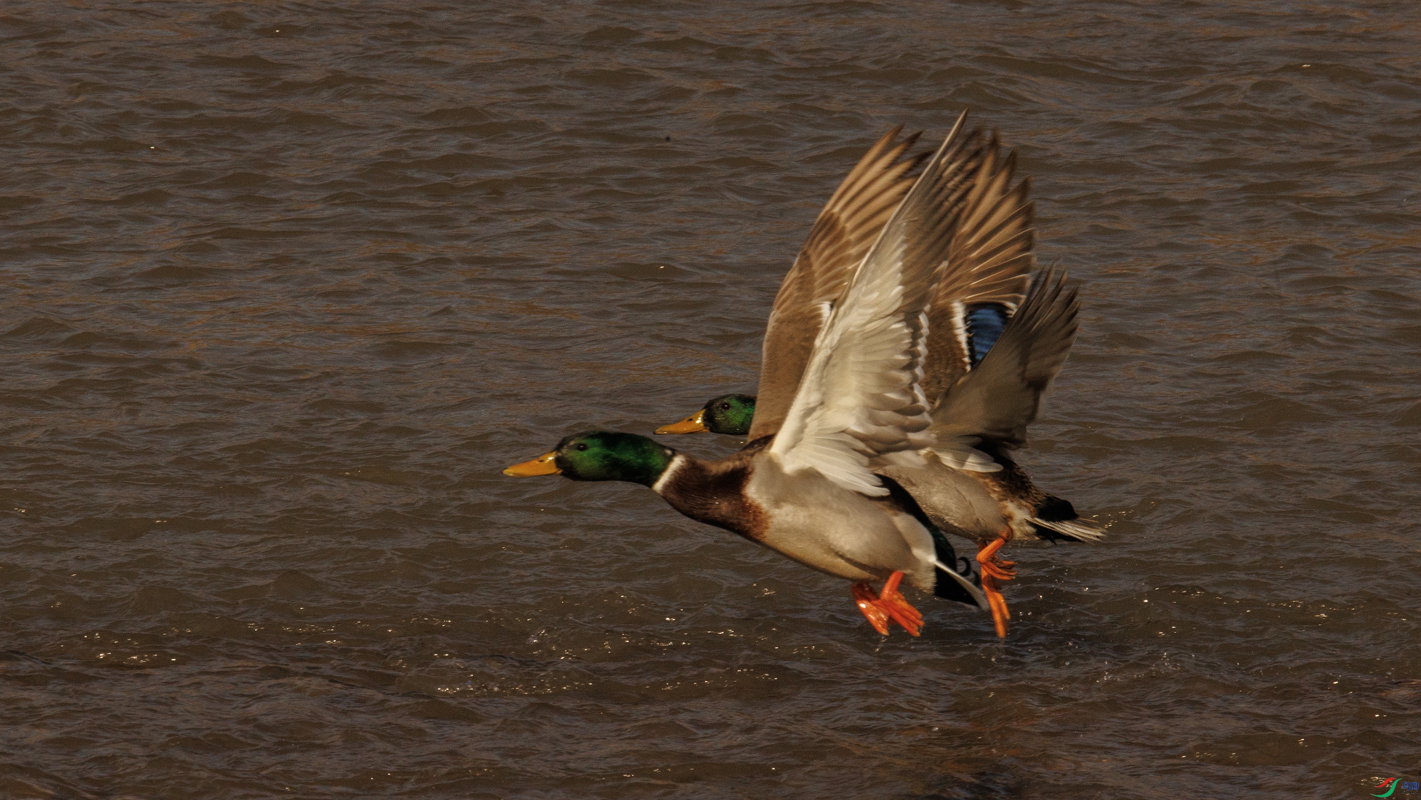 7X5A0406 ��4444.jpg