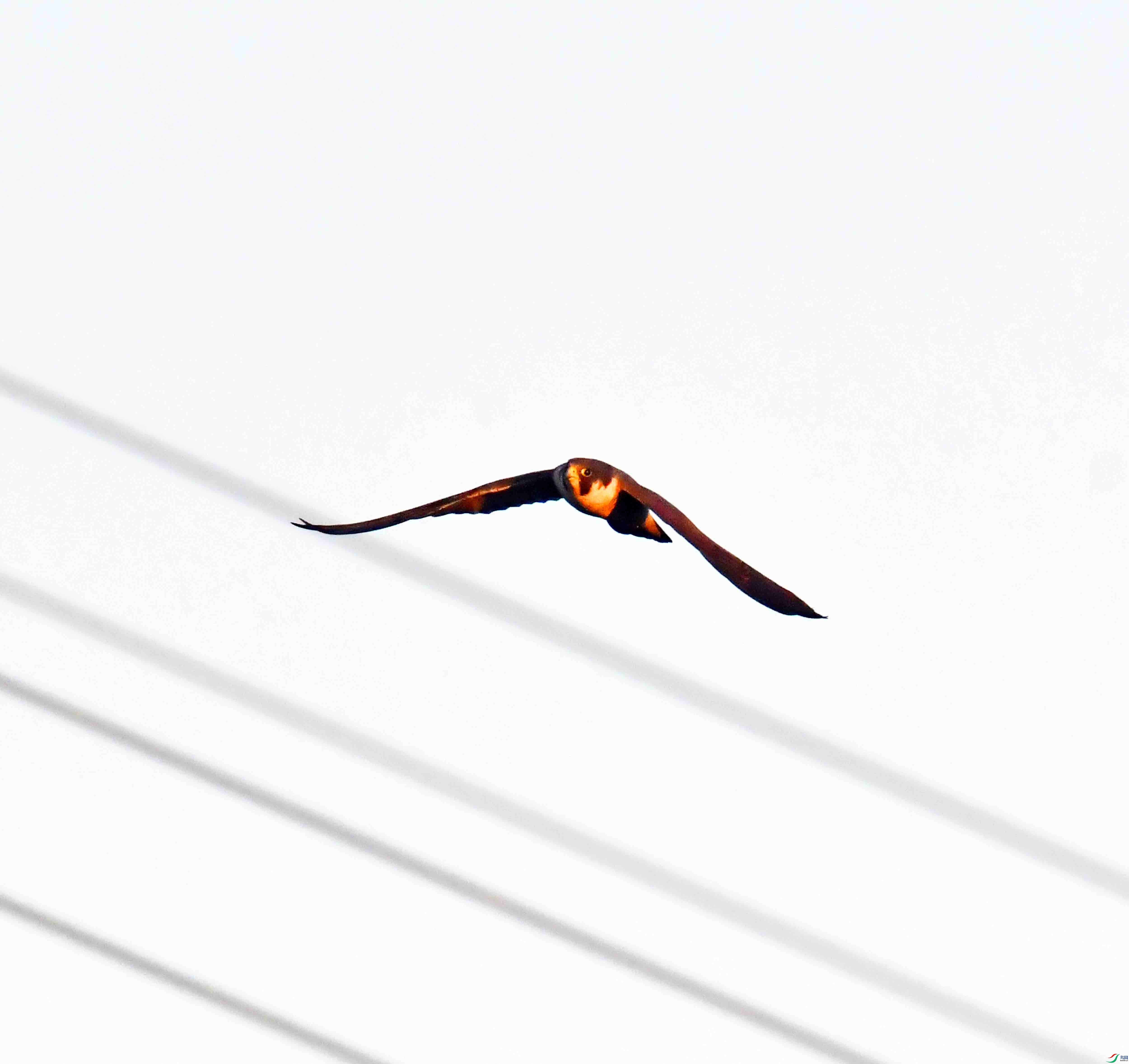 DSC_3956.JPG