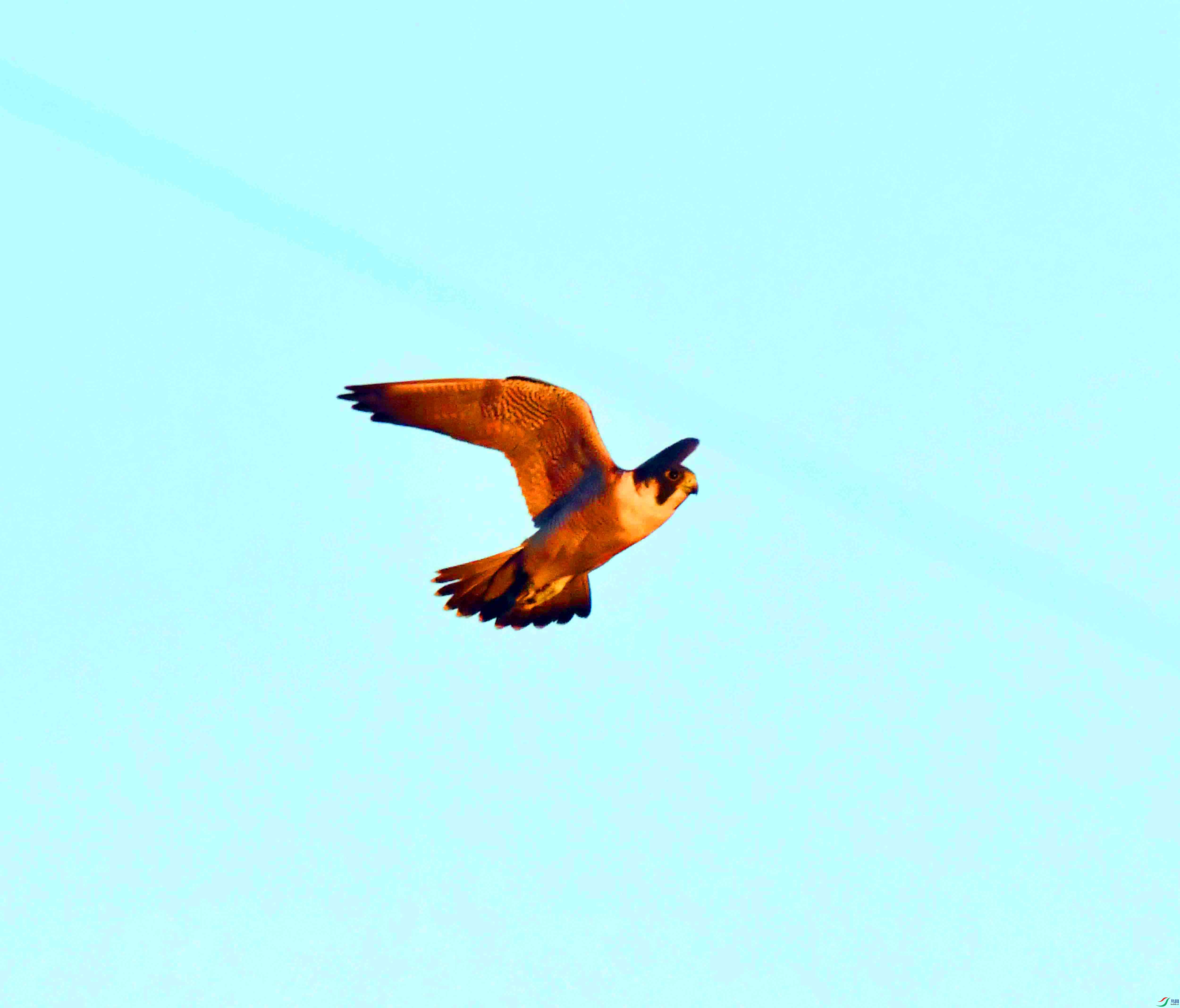 DSC_3961.JPG