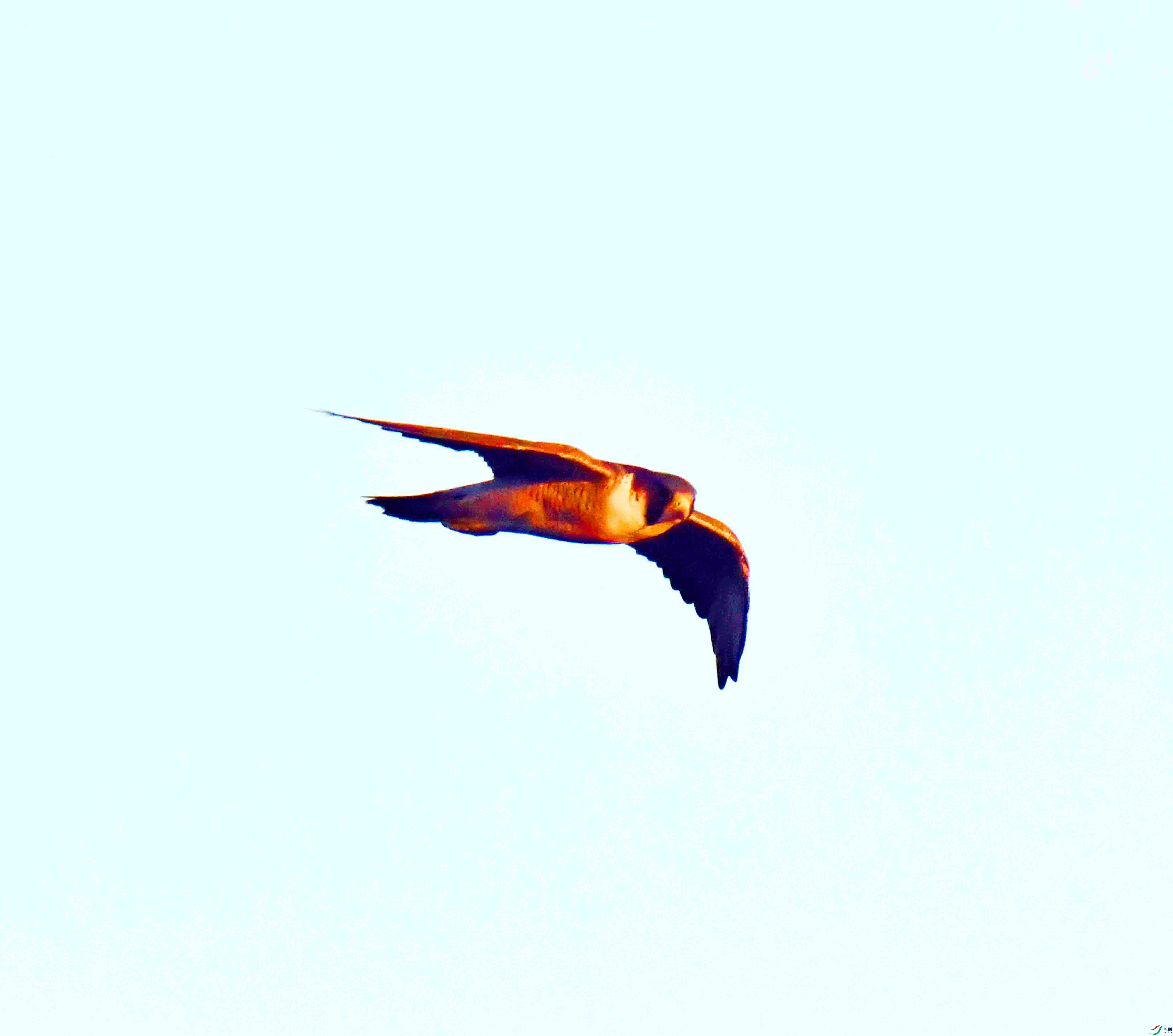 DSC_3964.JPG