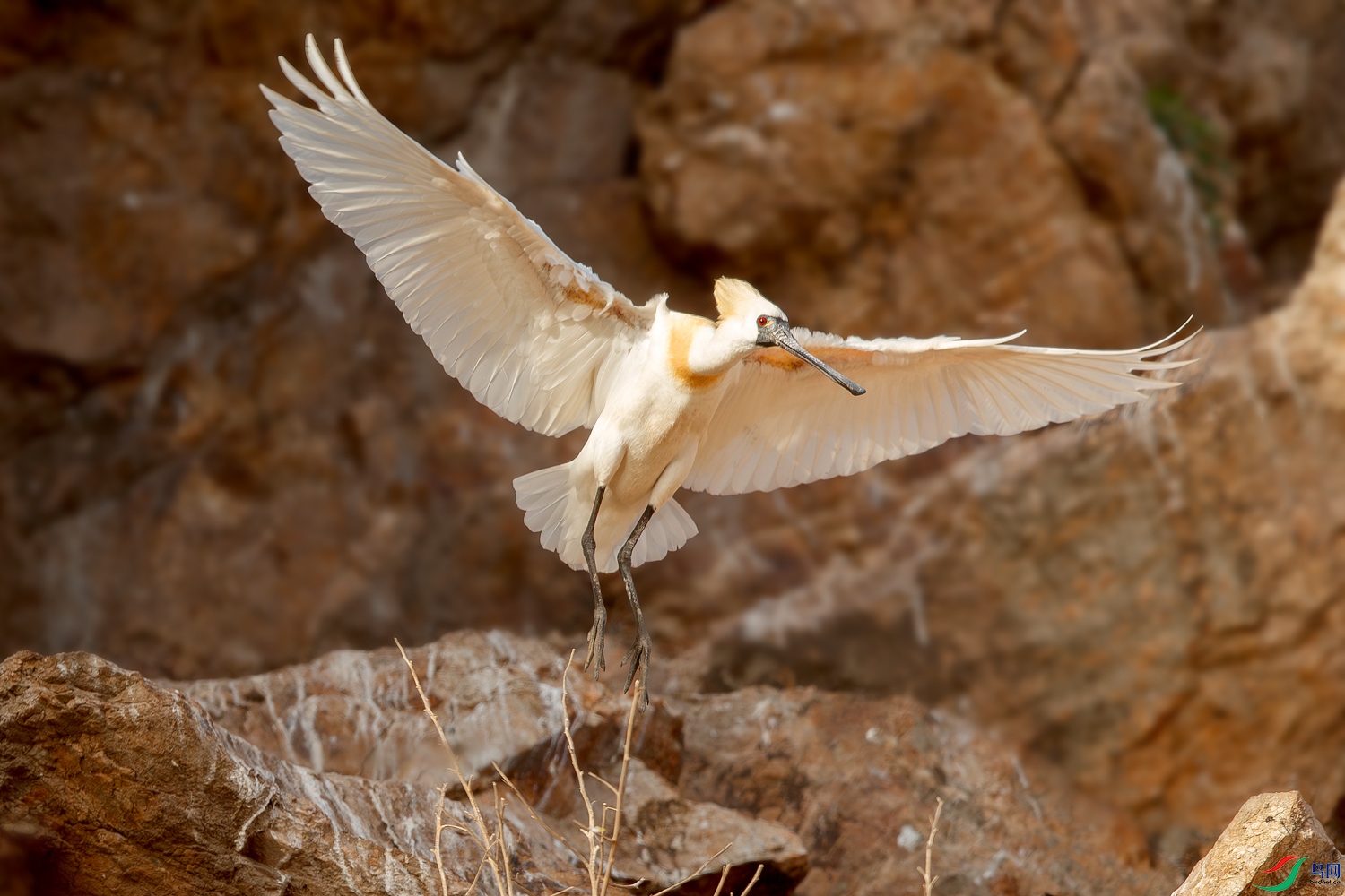 AQ9I3736-����ǿ-NR ����.jpg