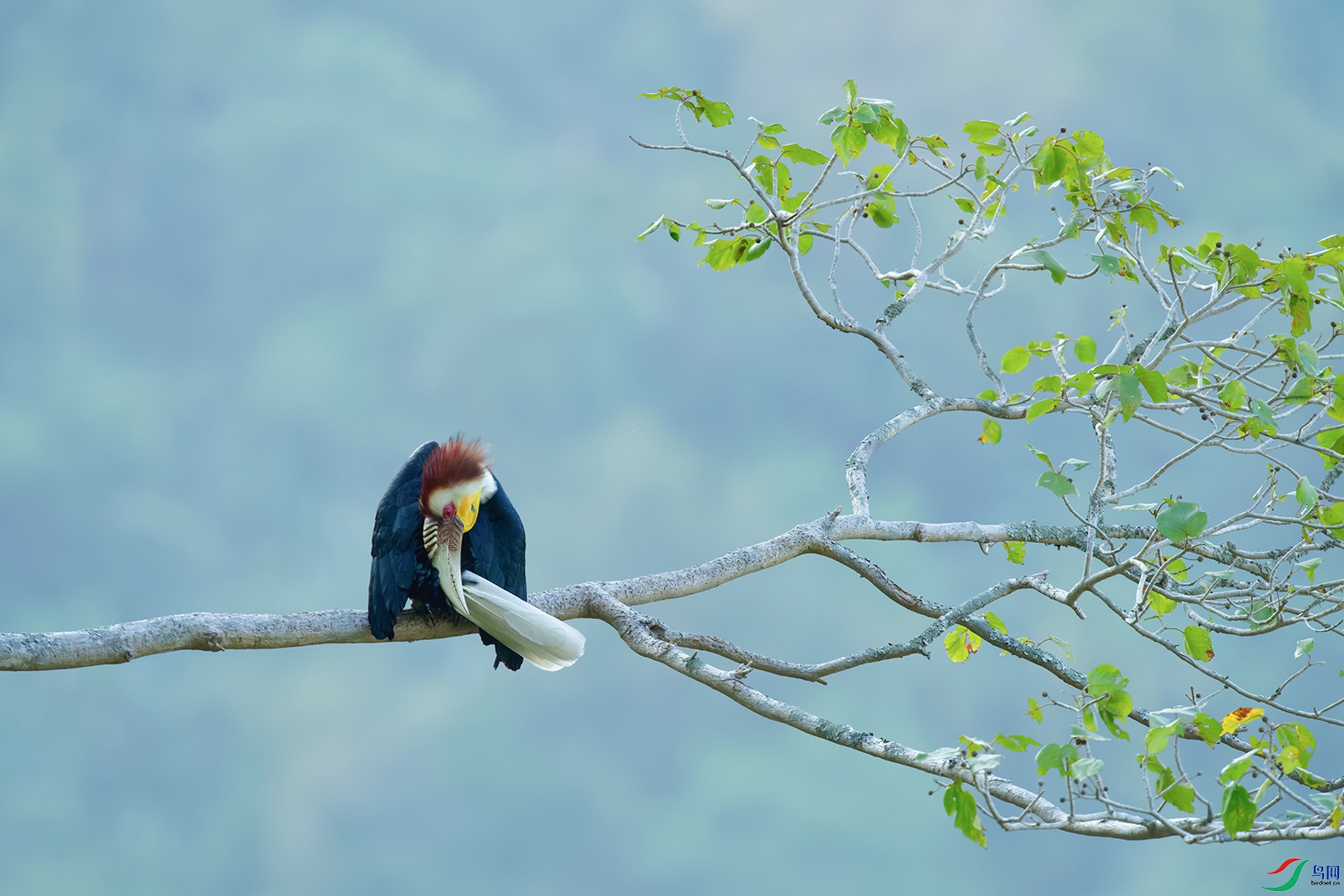 DSC_0077_DxOa.jpg