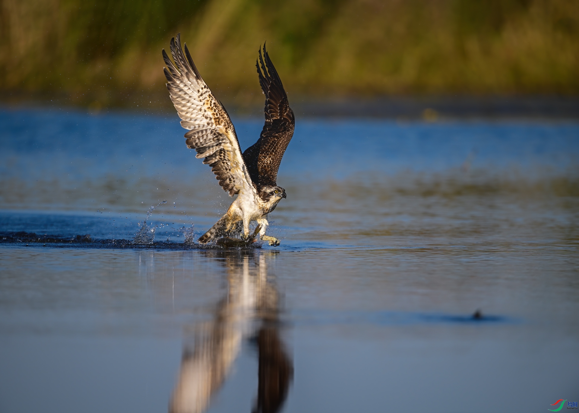 DSC_7017-23.jpg