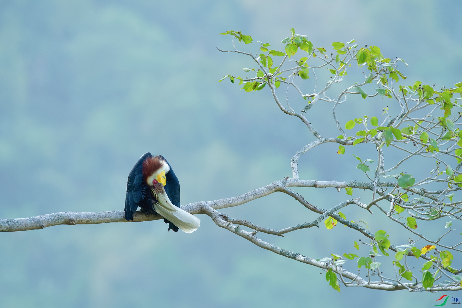 1DSC_0078_DxOa.jpg