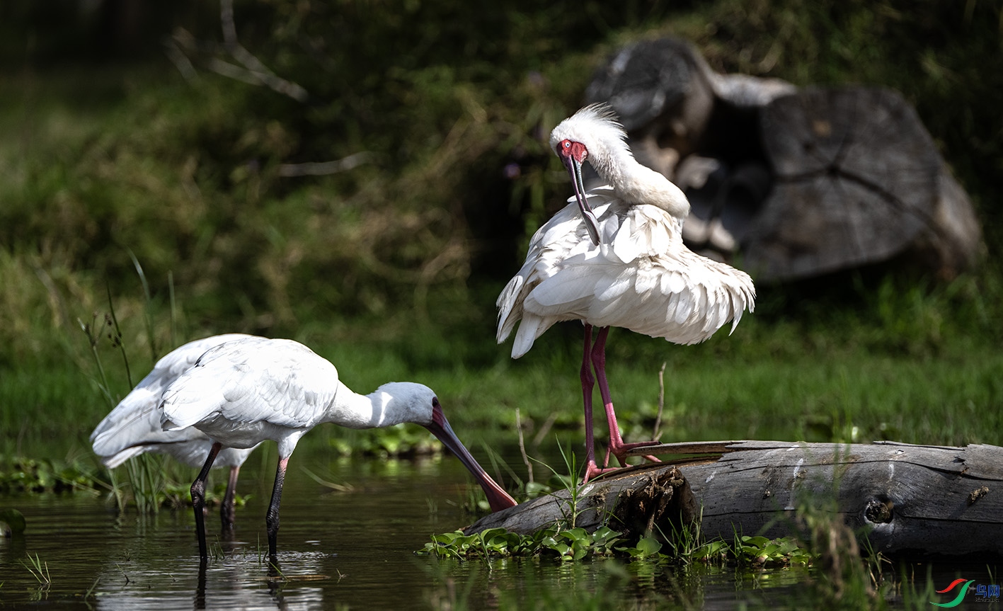 _DSC4097 ����.jpg