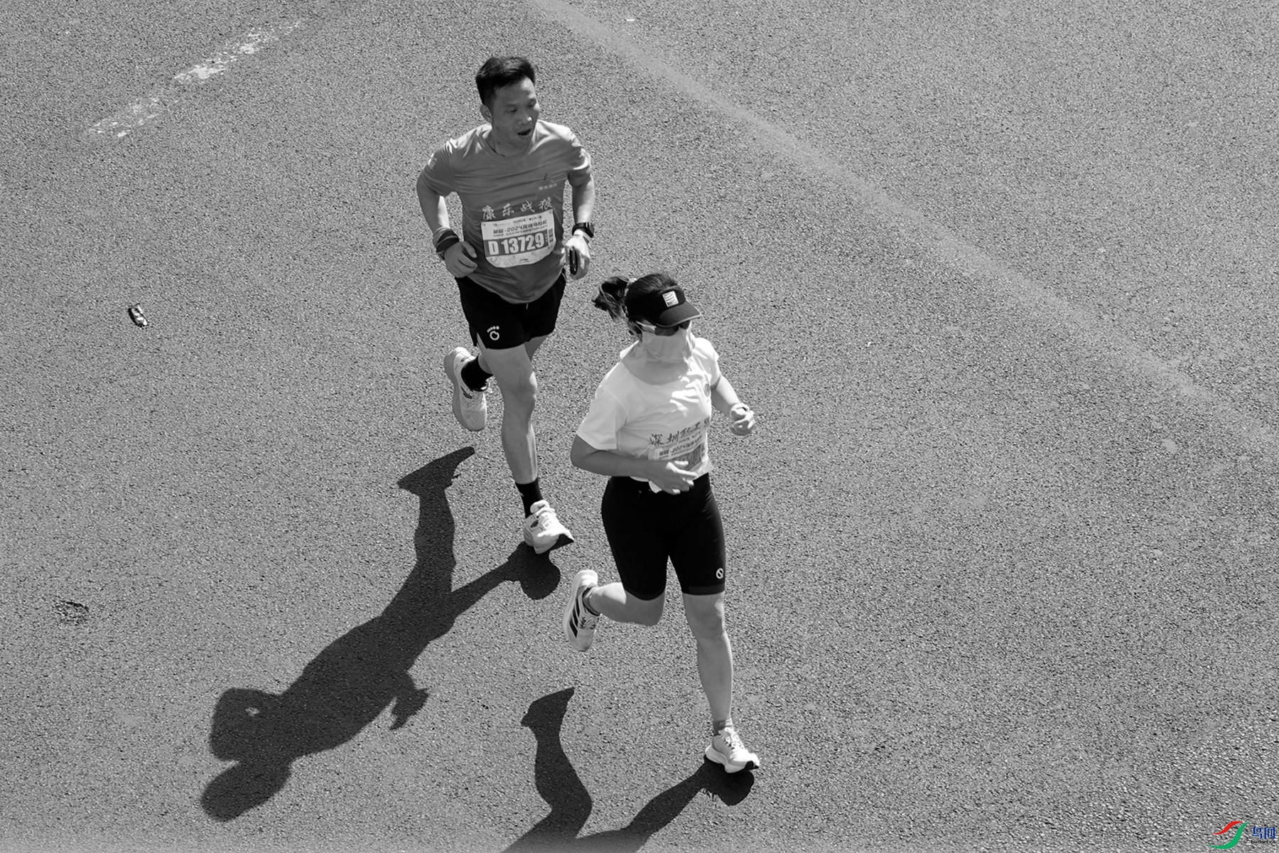 2024����������ʰӰ (4).jpg