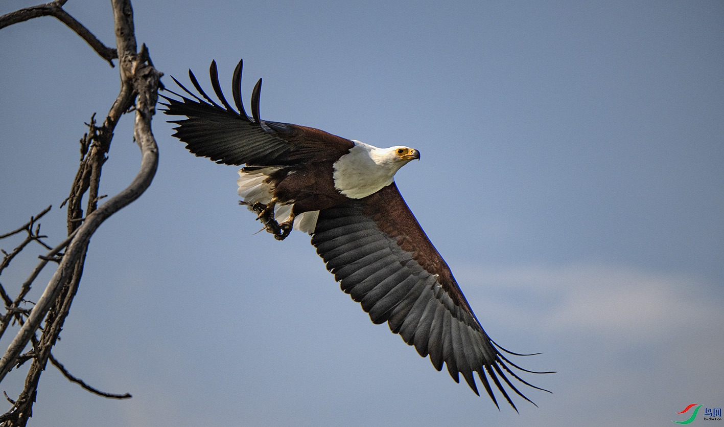 _DSC5095 ����.jpg