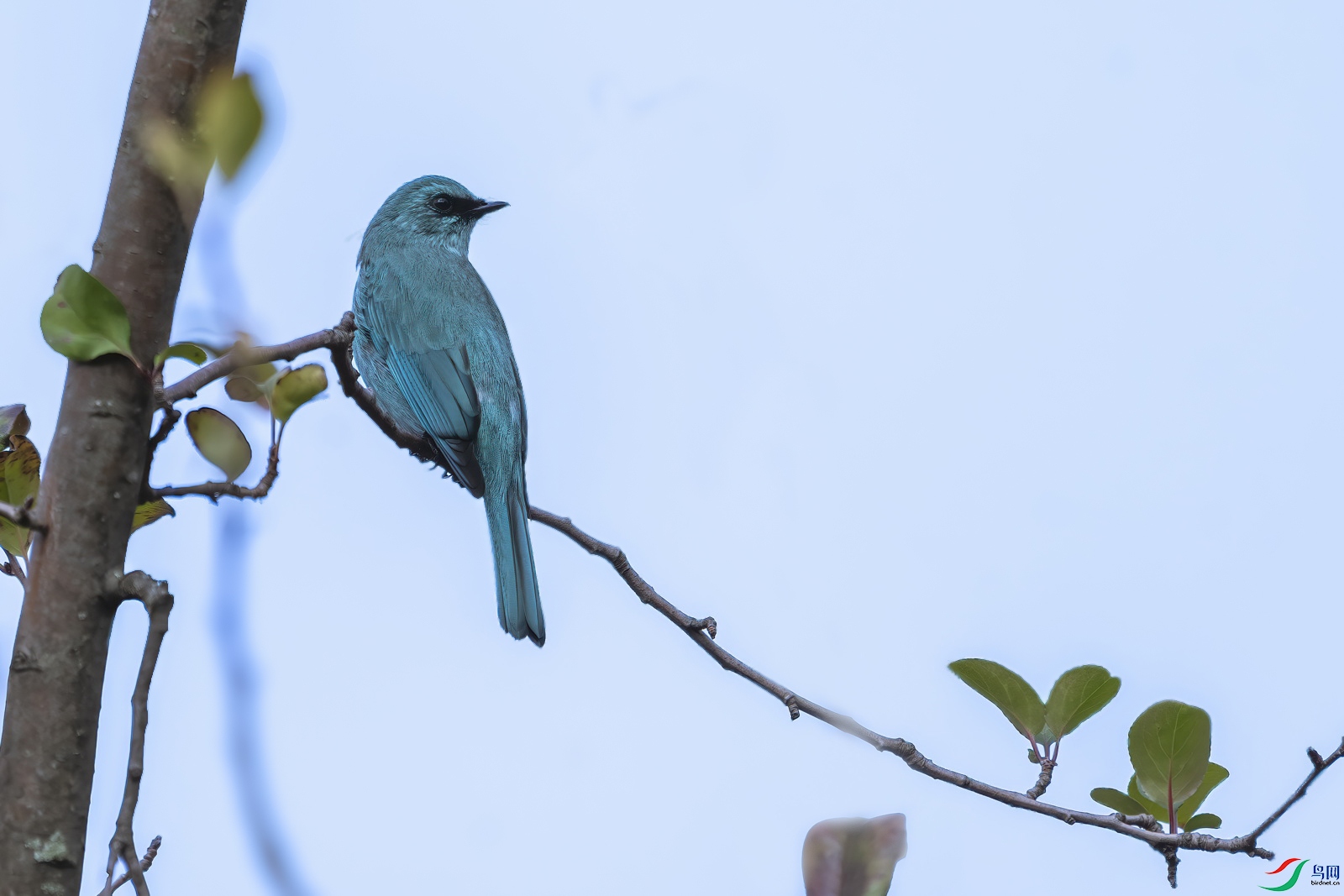 DSC_2847-ͭ���l.jpg