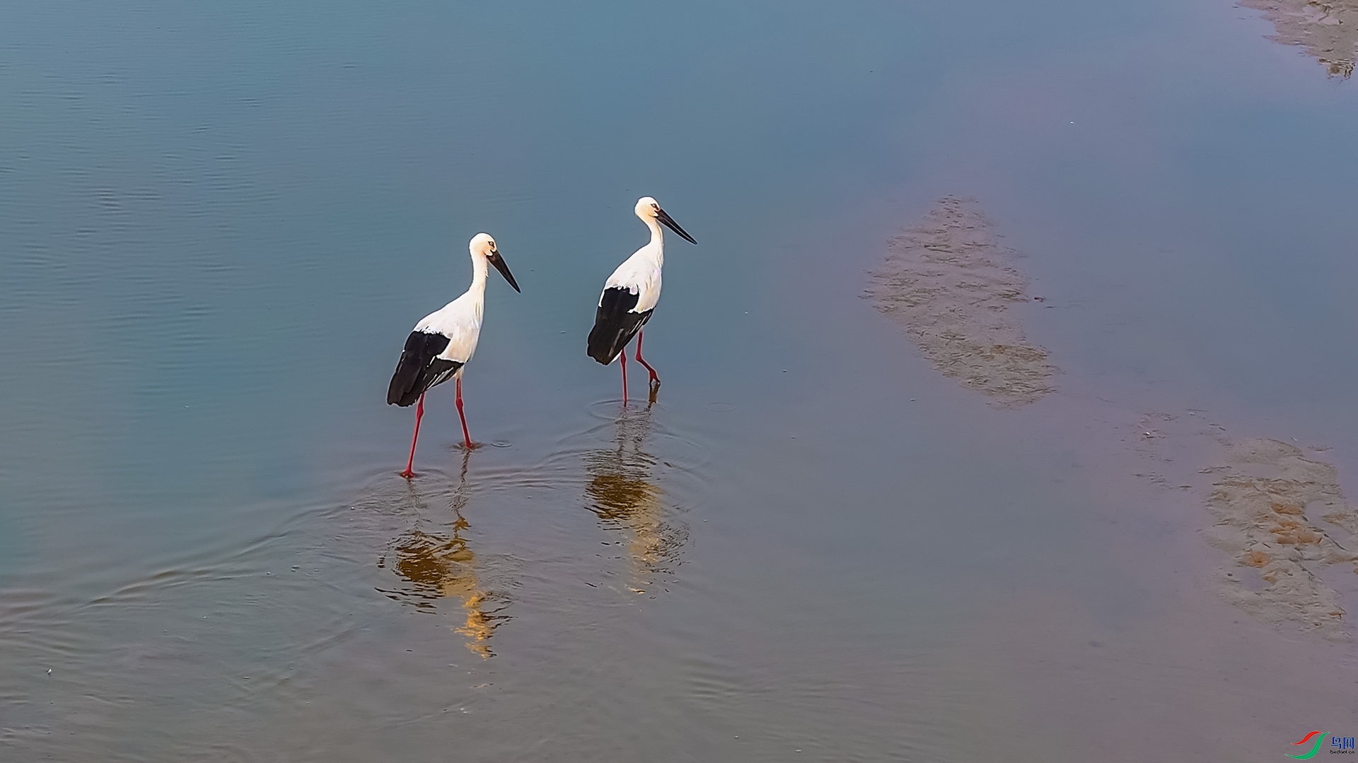 DJI_20241028072720_0044_D.00_00_26_44.Still001.jpg