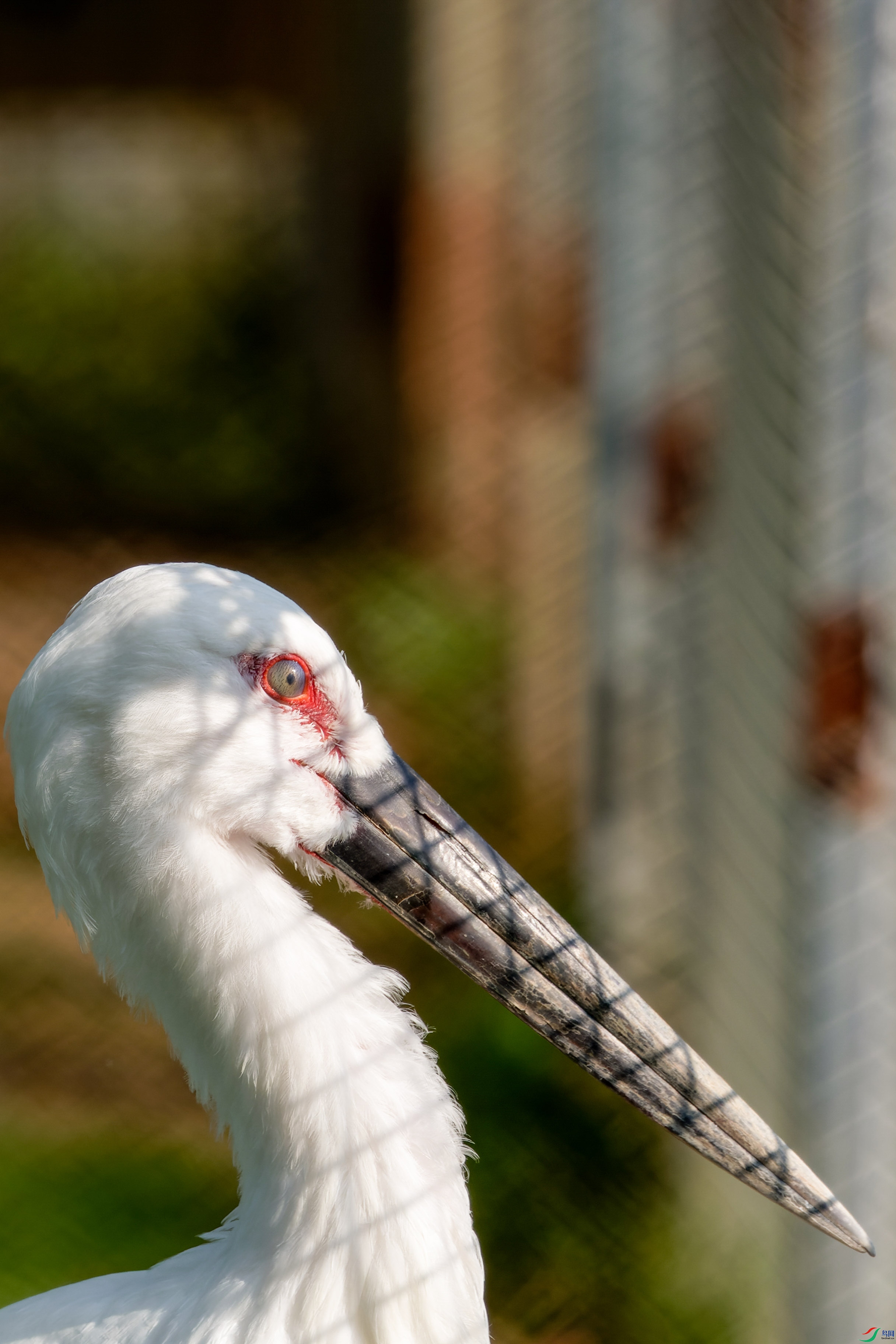 7D2_1239-CR2_DxO_DeepPRIME-1.jpg