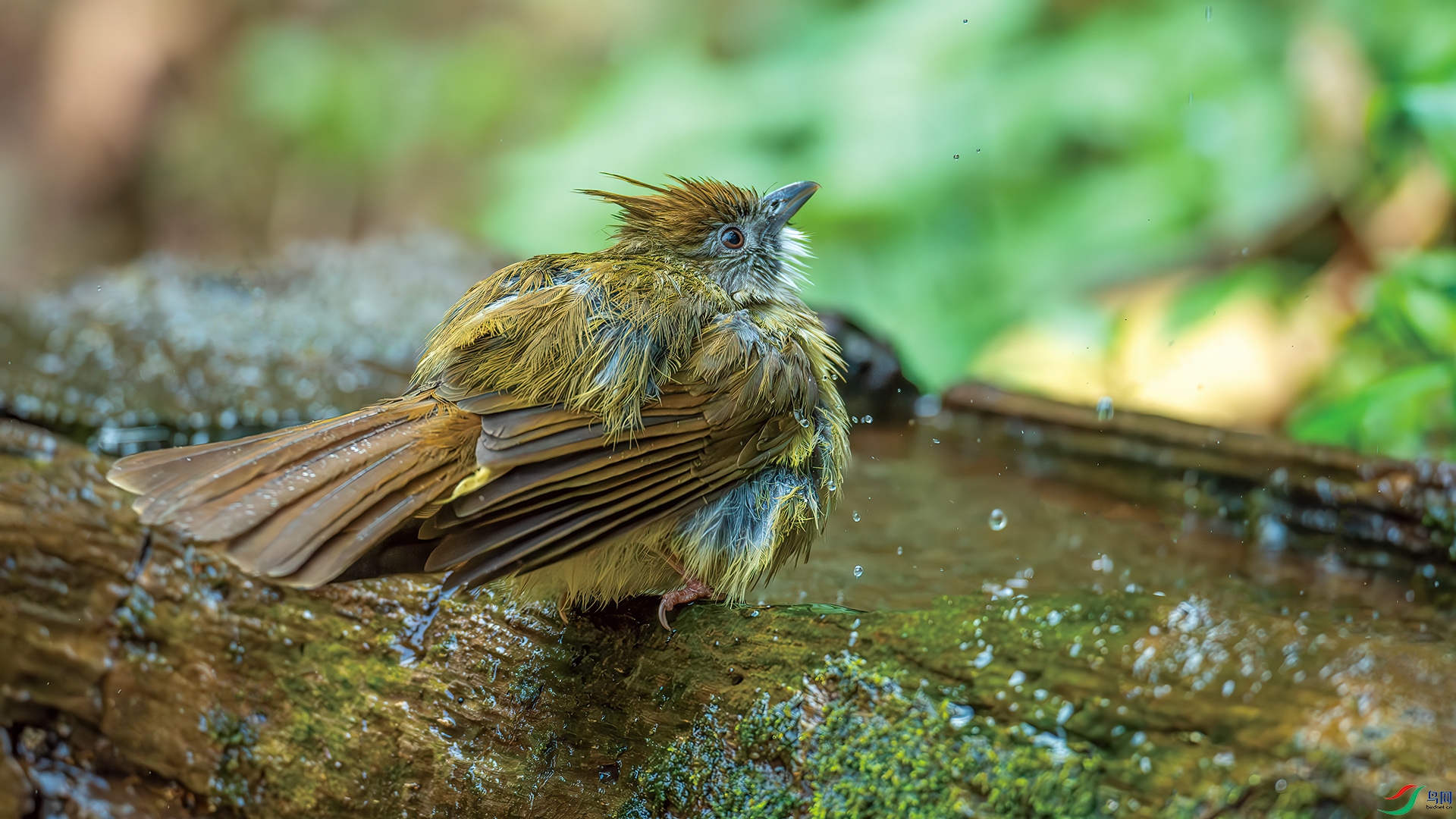 DSC_6588-����ǿ-NR.jpg