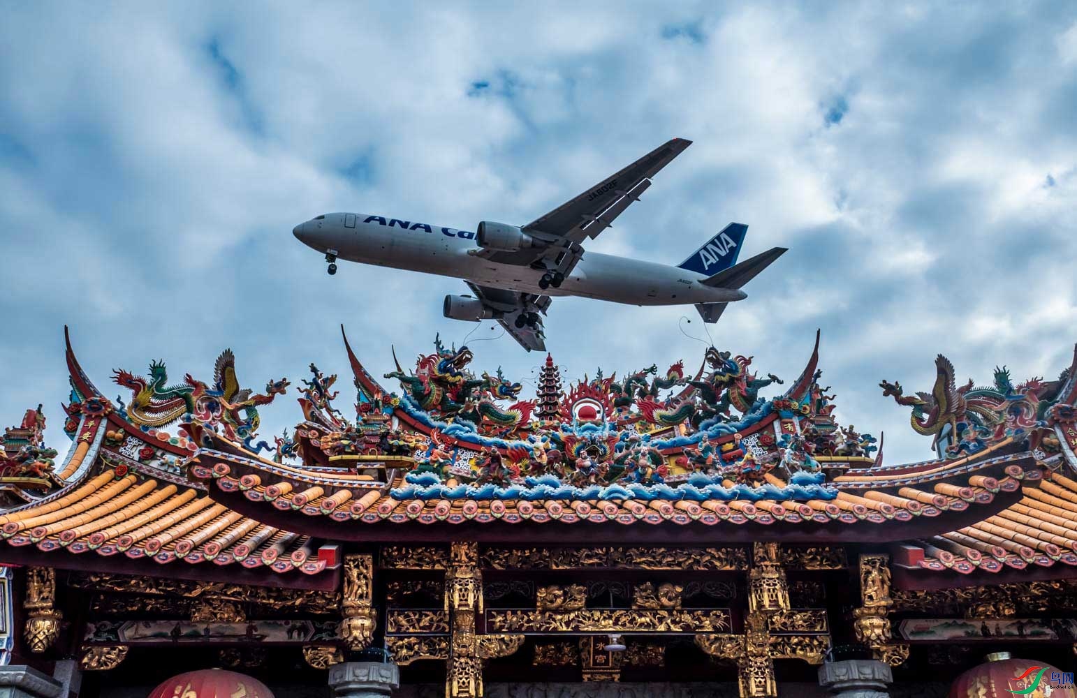 242.jpg