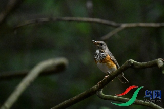DSC_3176.JPG