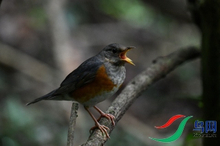 DSC_3726.JPG