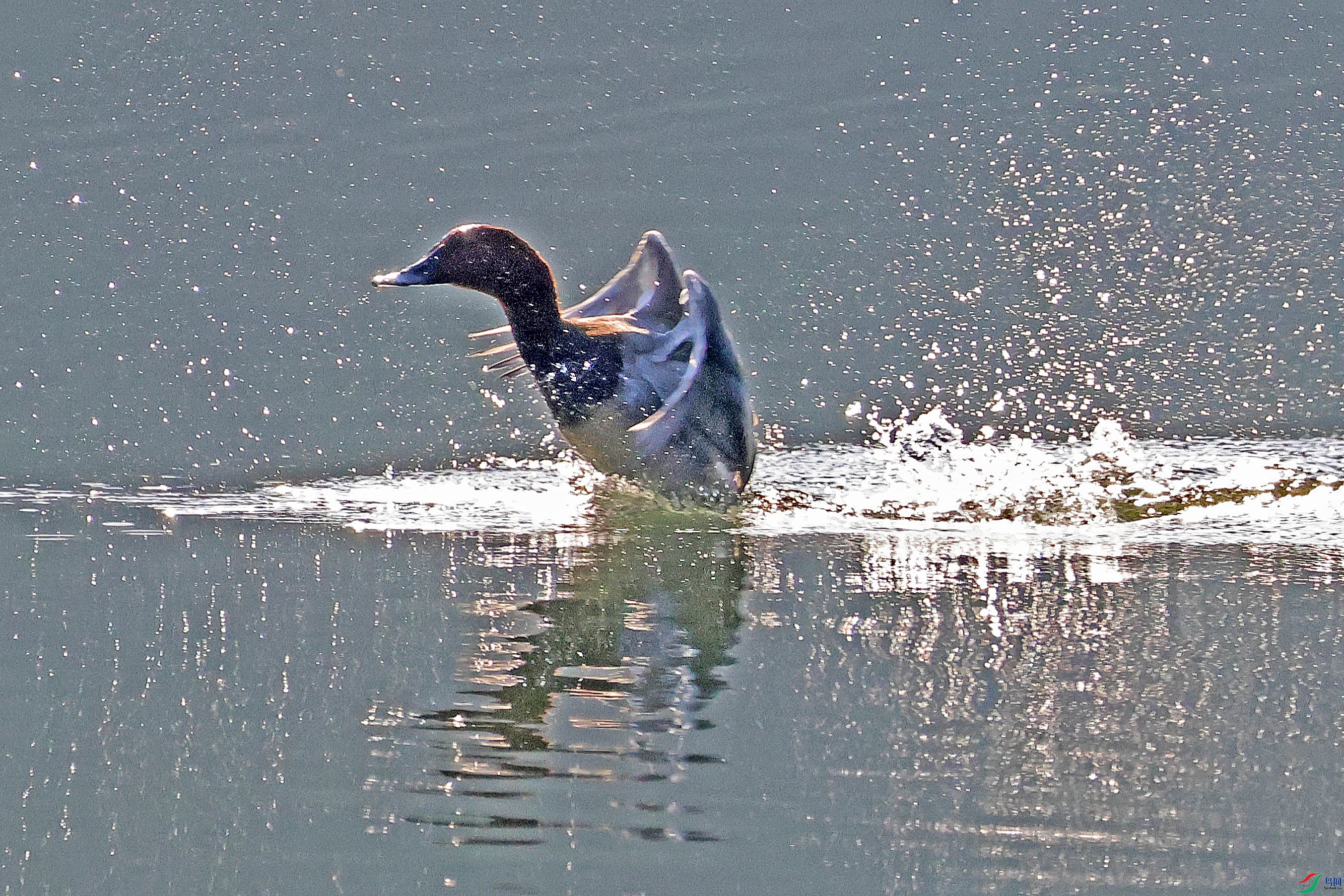 2G9A8353.JPG